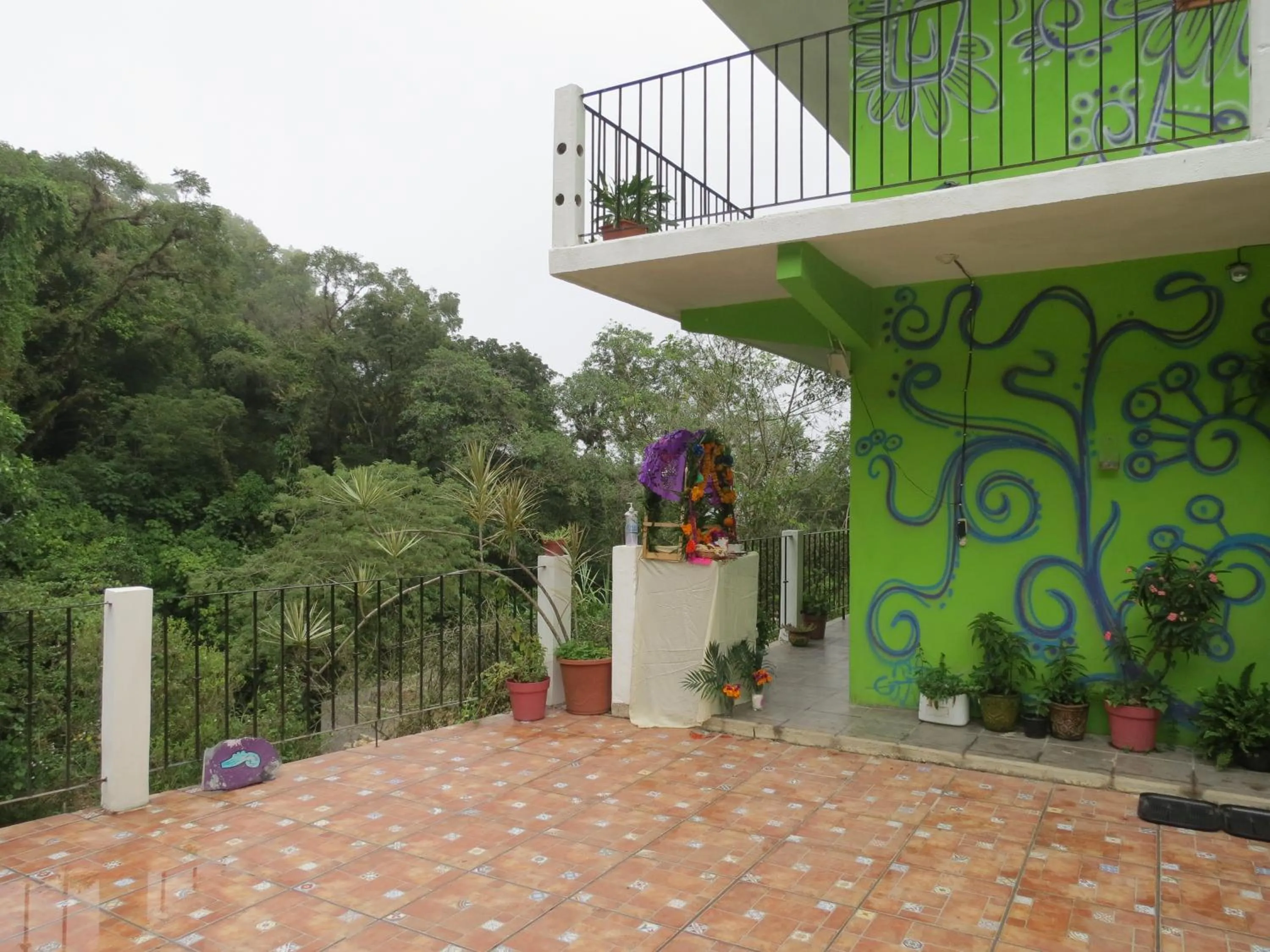 Balcony/Terrace in Casa Verde Xilitla By Rotamundos