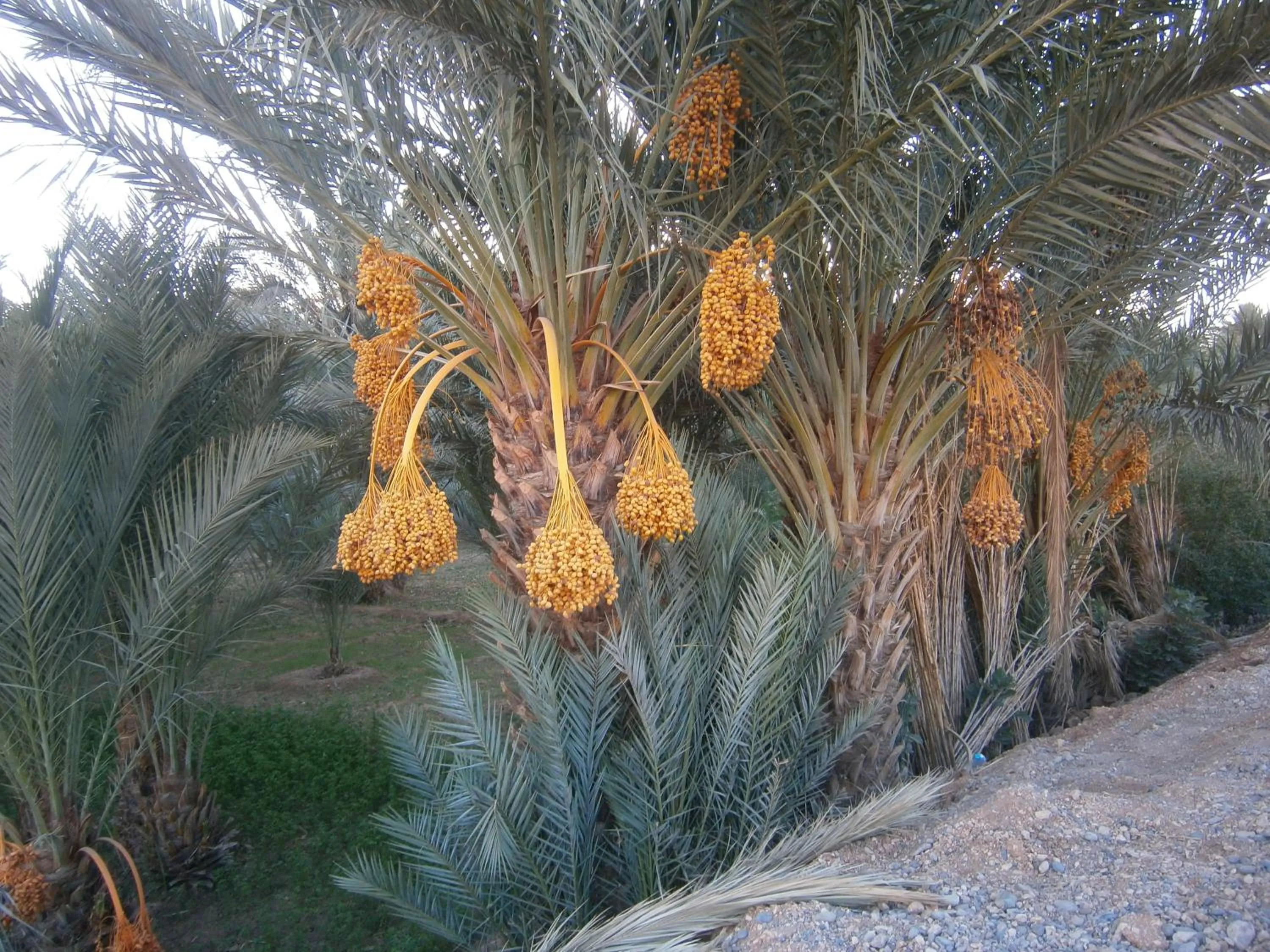 Nearby landmark in Gite Tamlli