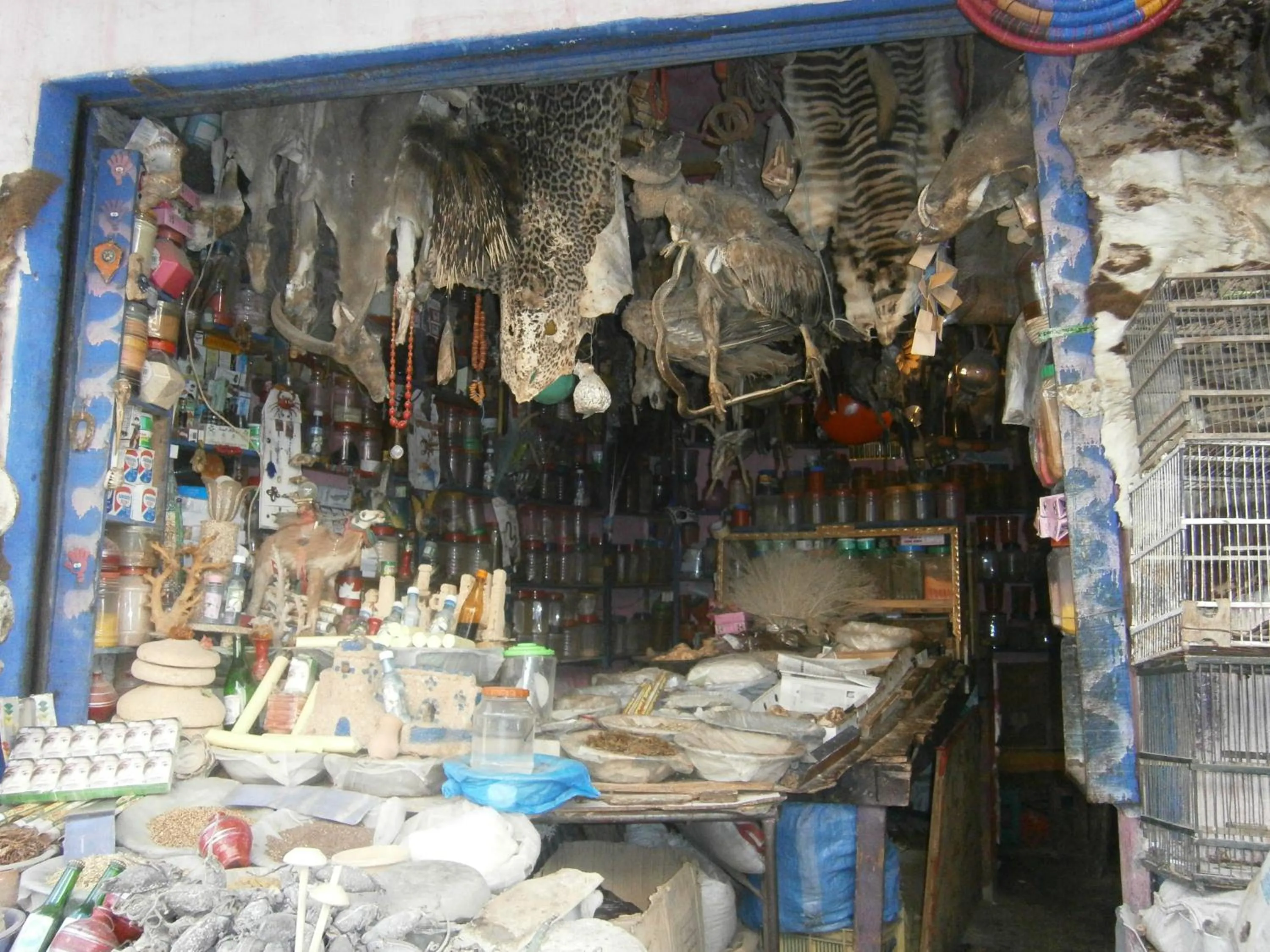 Supermarket/grocery shop in Gite Tamlli