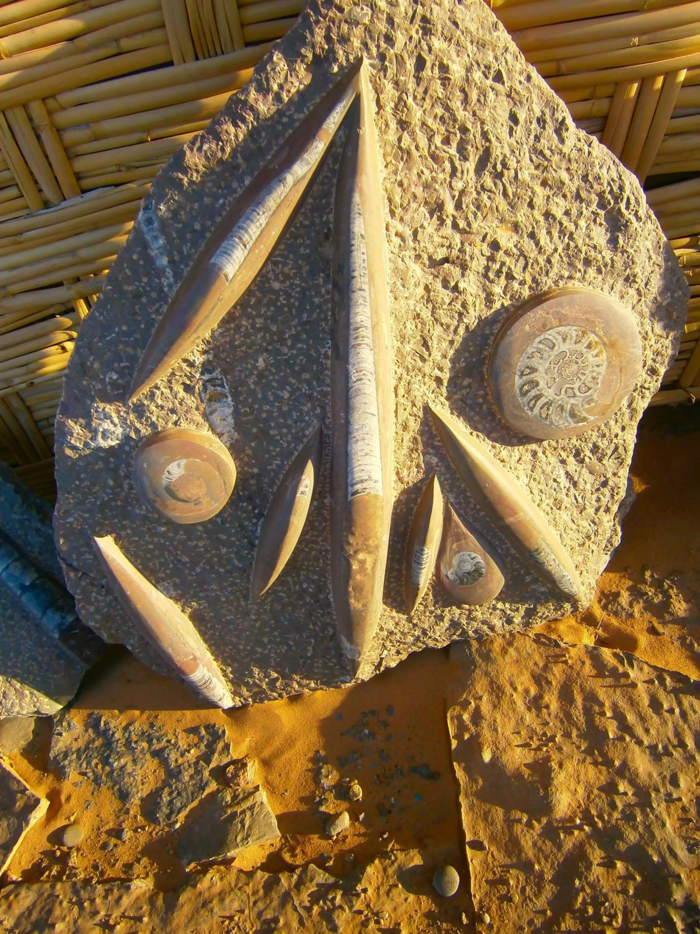 Other in Gite Tamlli