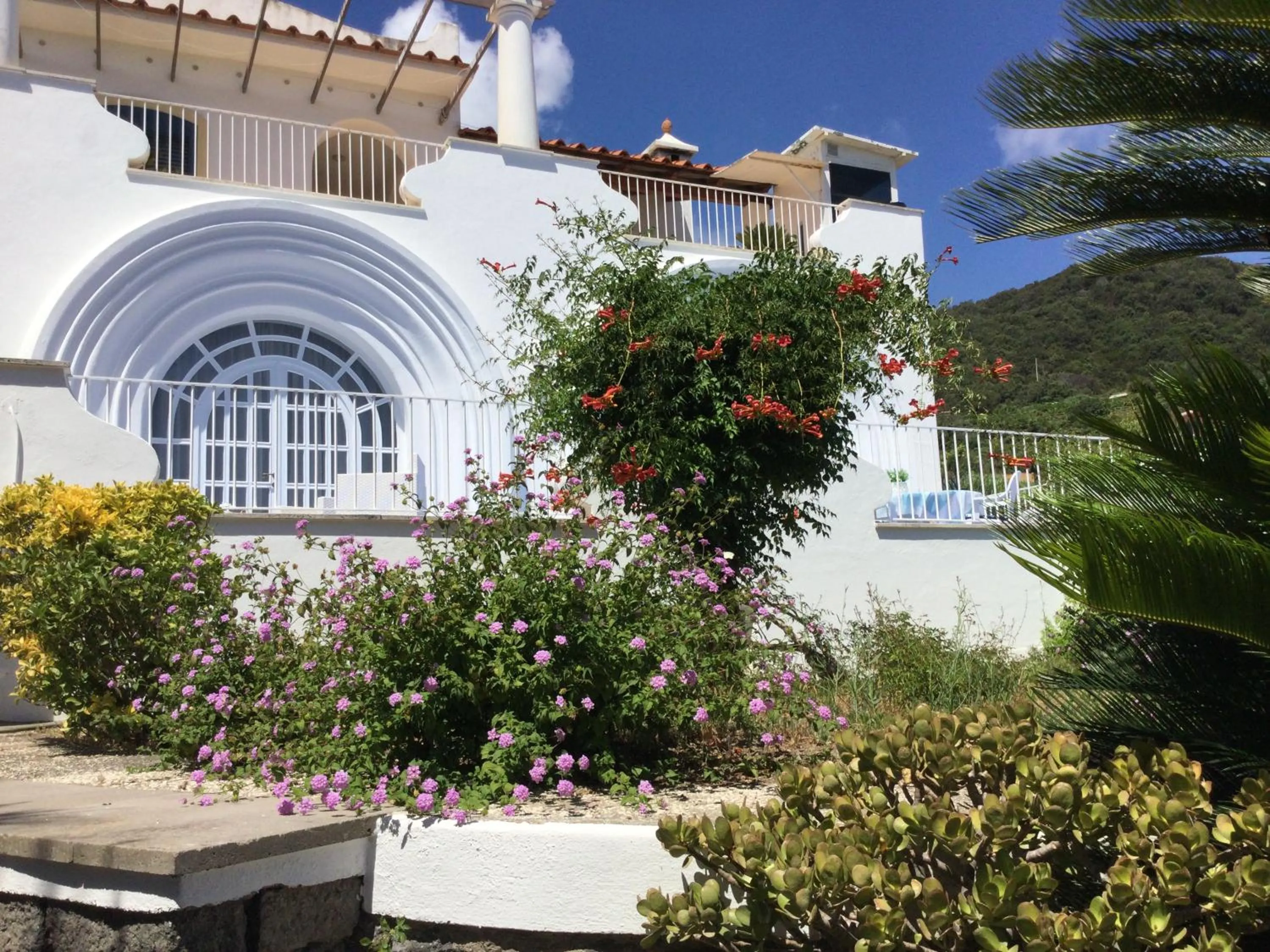 Property building in Villa Augusta