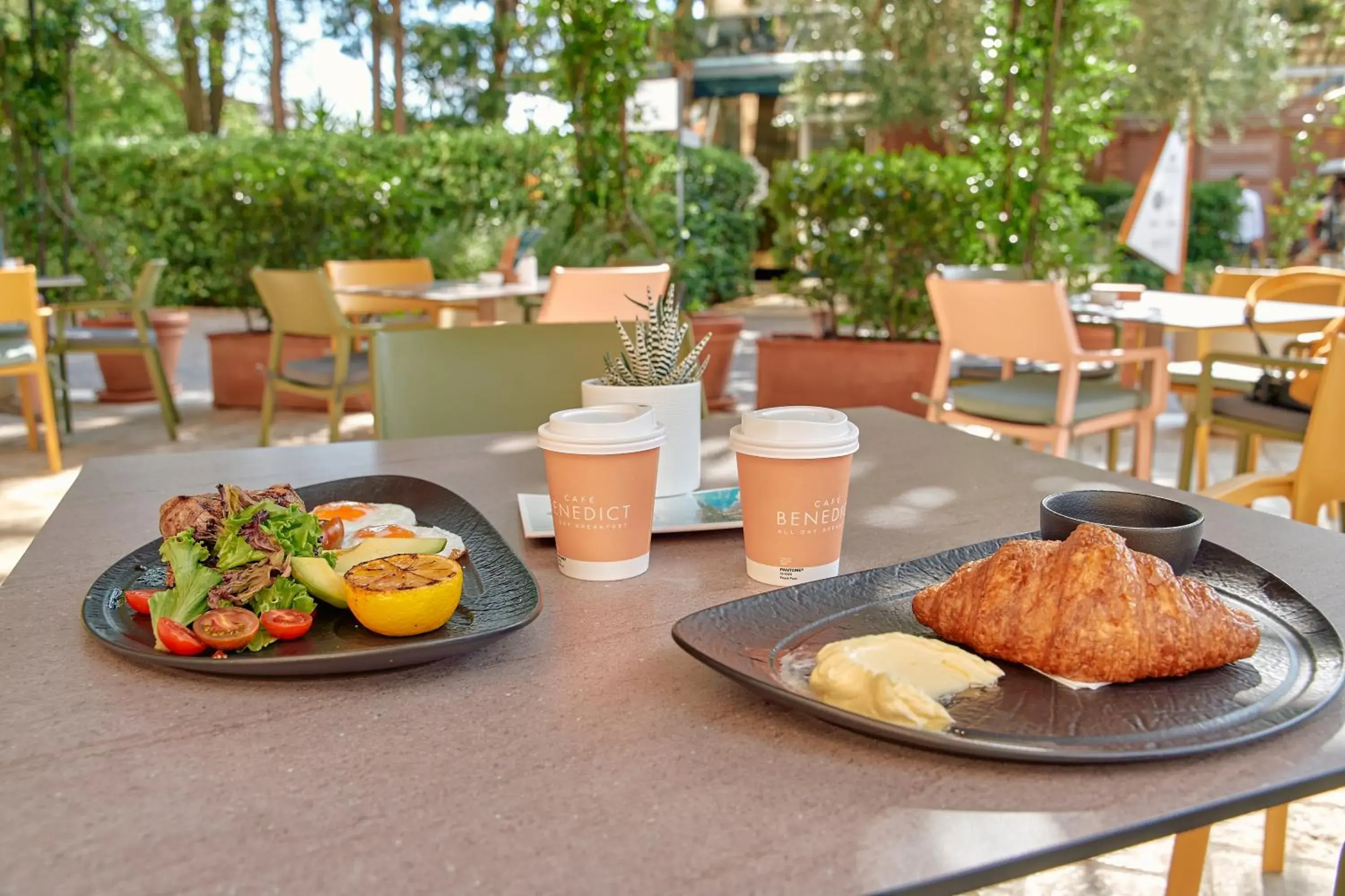 Restaurant/places to eat in Hotel Harmonia by Dukley Restaurant/places to eat in Hotel Harmonia by Dukley