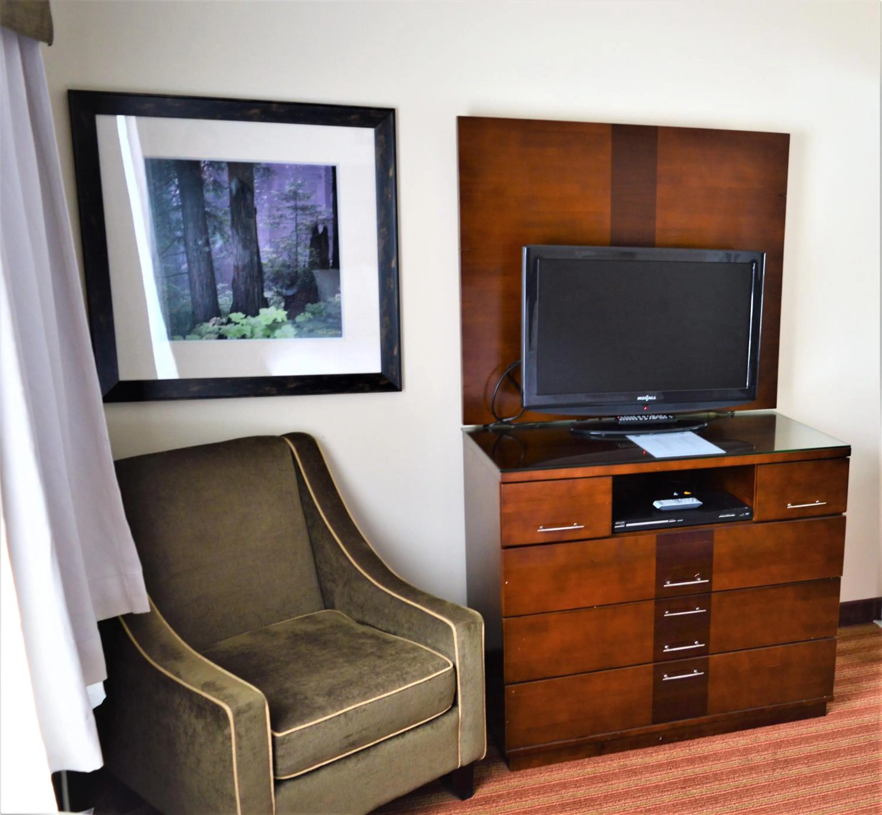TV and multimedia in Sigma Inn & Suites Hudson's Hope