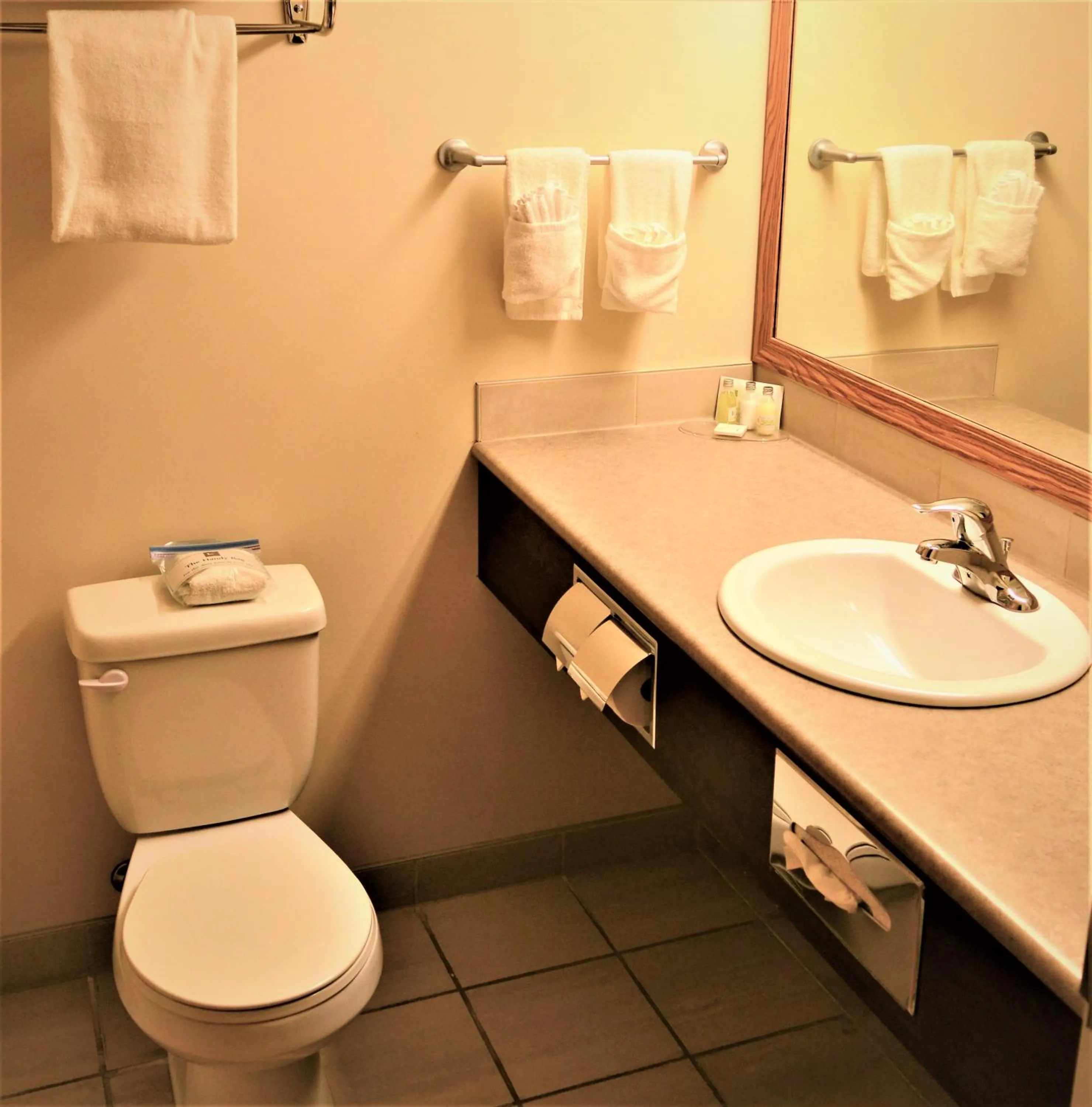 Bathroom in Sigma Inn & Suites Hudson's Hope