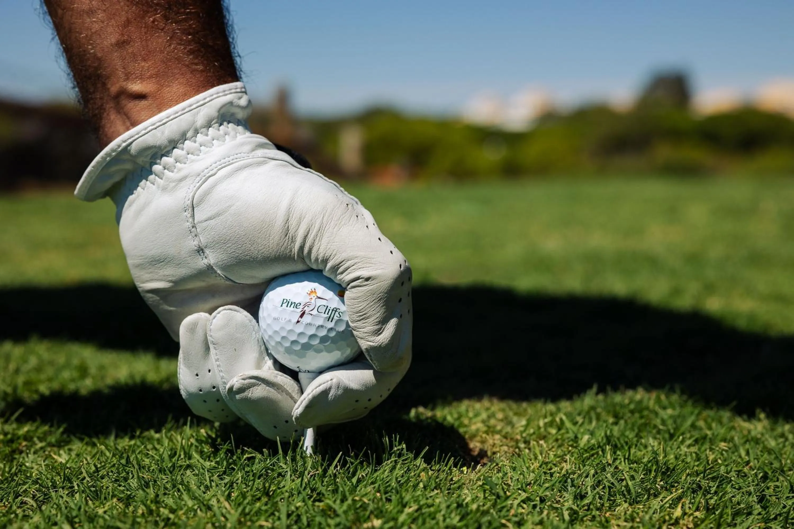 Other in Pine Cliffs Hotel, a Luxury Collection Resort, Algarve