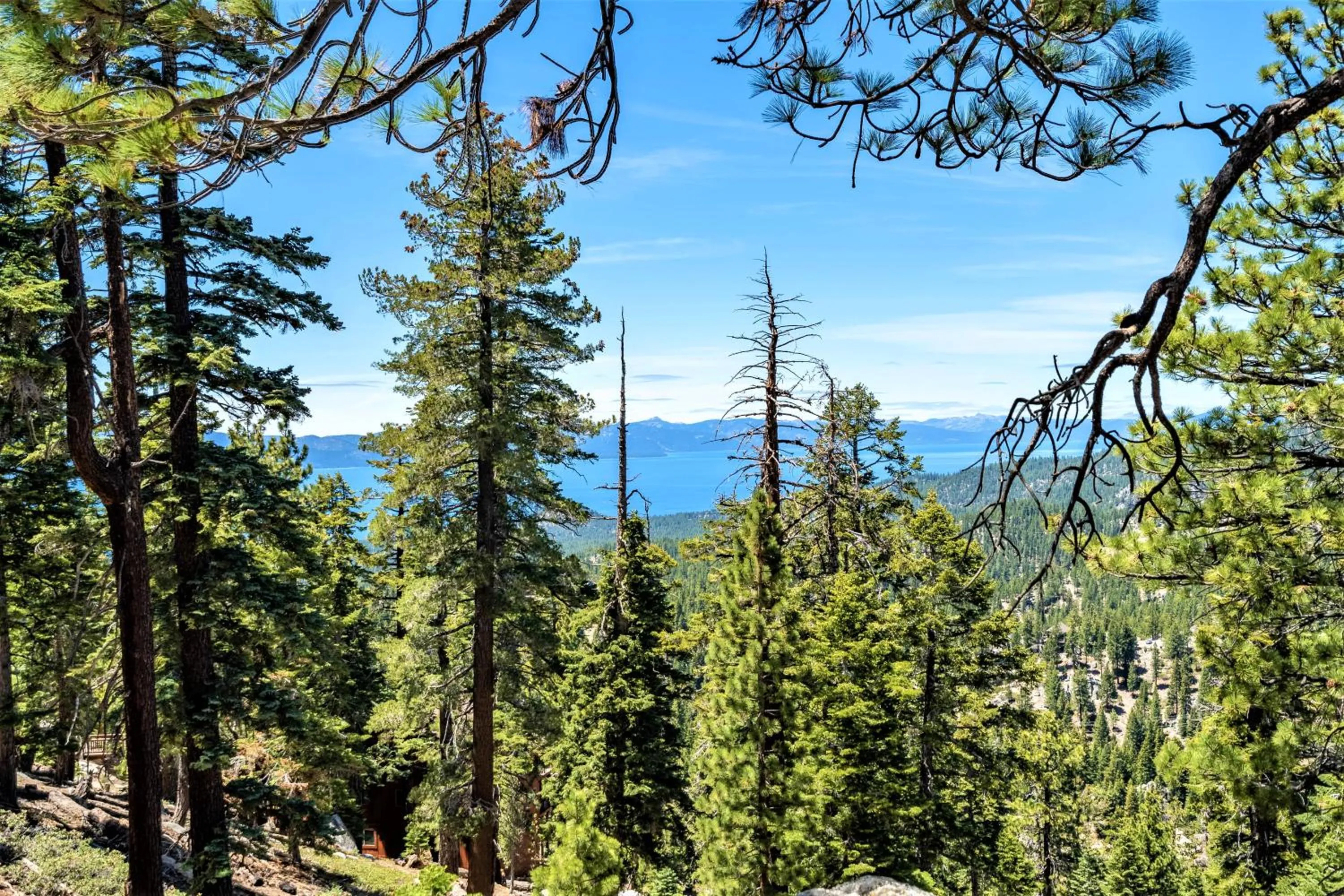Natural landscape in Tahoe Summit Village