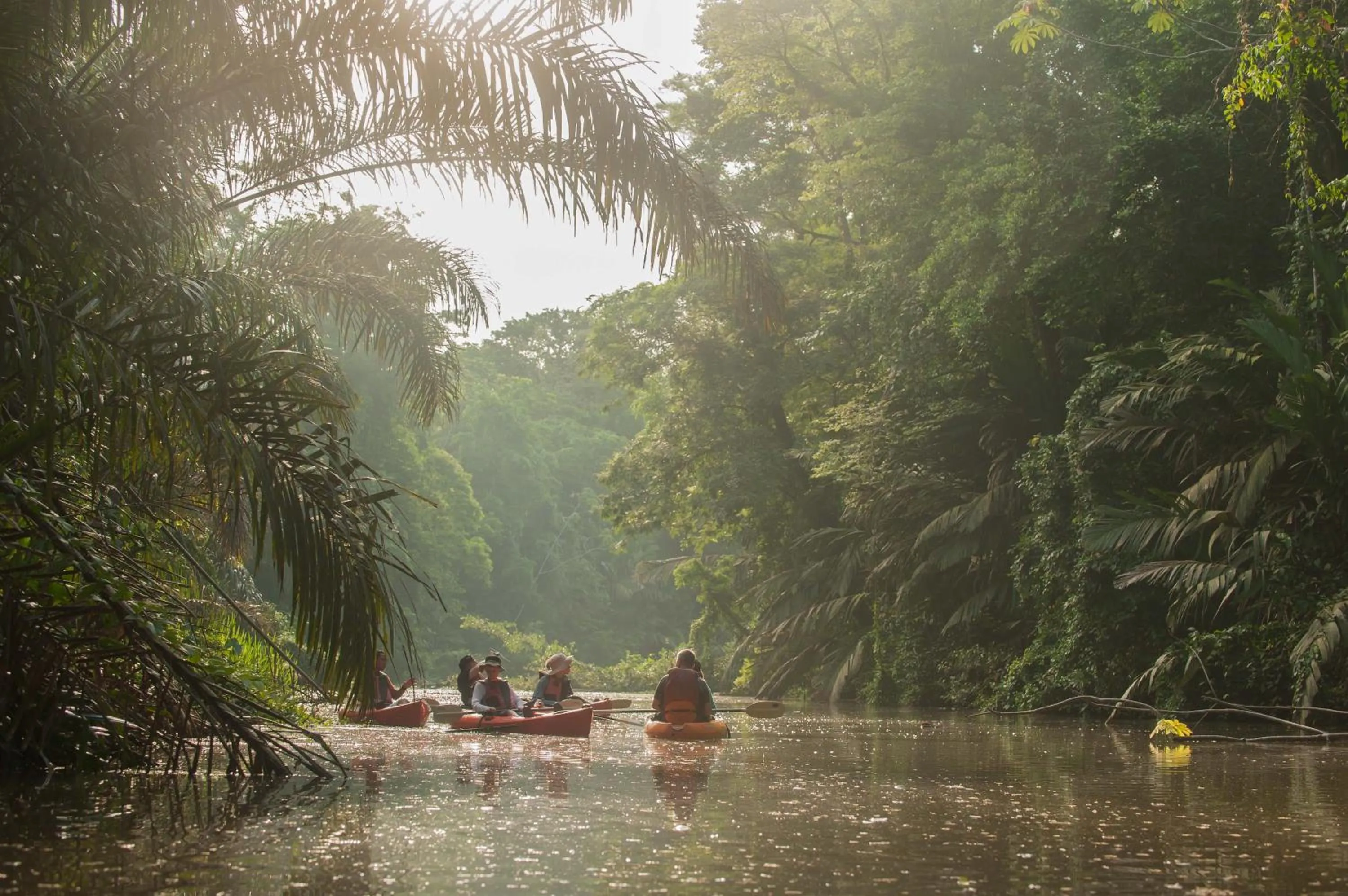 Natural landscape in Hotel El Icaco Tortuguero