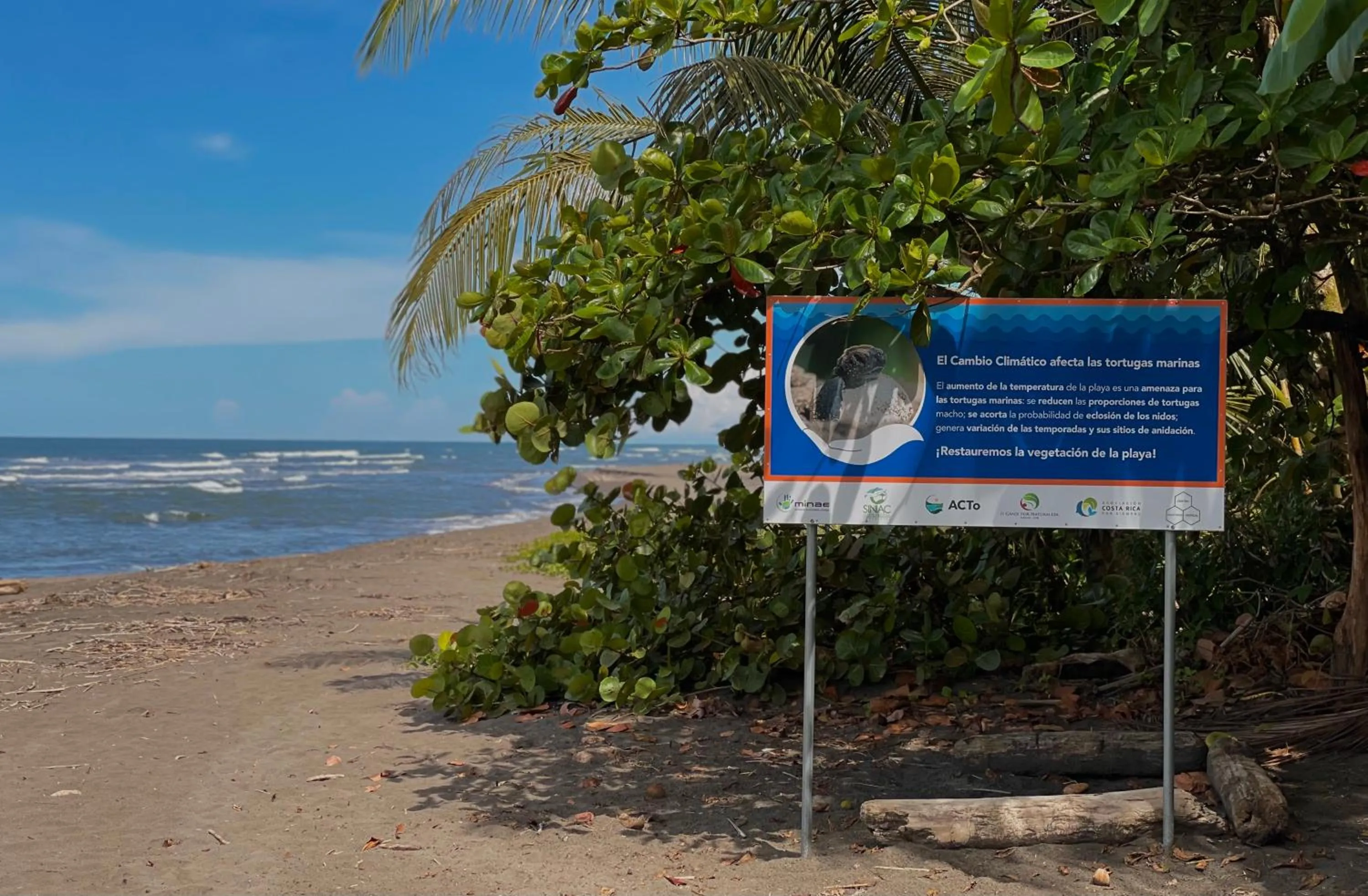 Beach in Hotel El Icaco Tortuguero