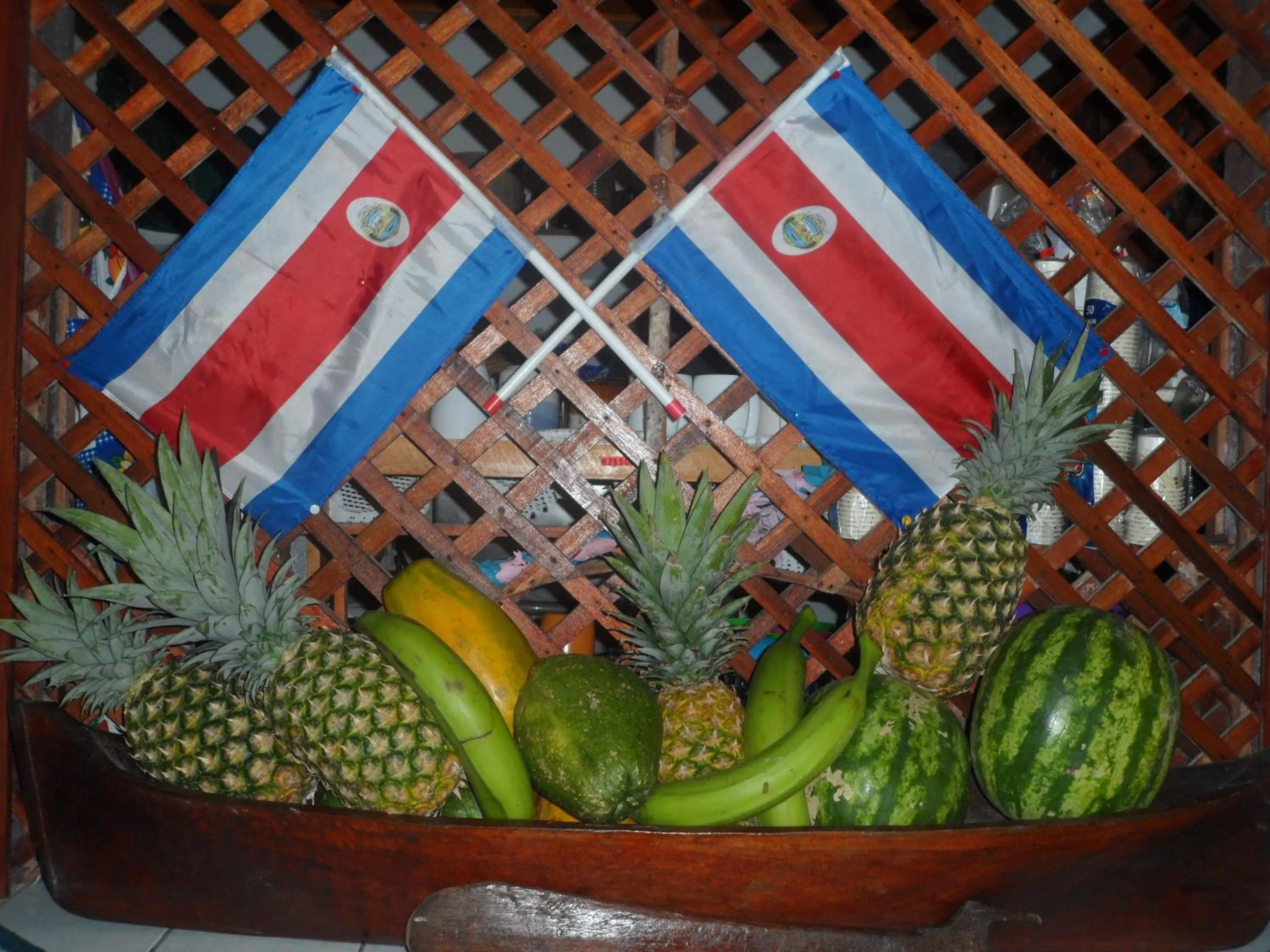 Food and drinks in Hotel El Icaco Tortuguero