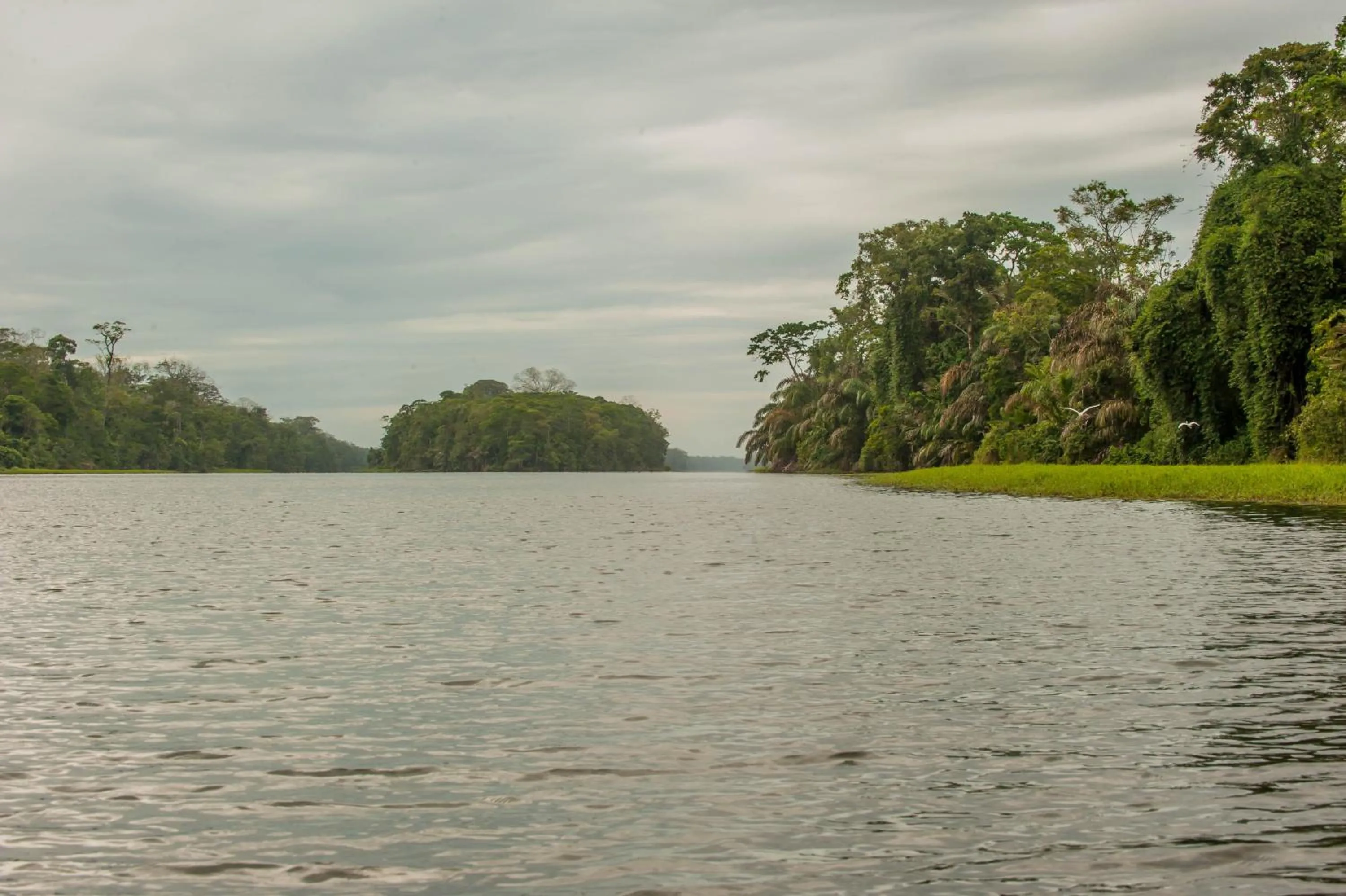 River view in Hotel El Icaco Tortuguero