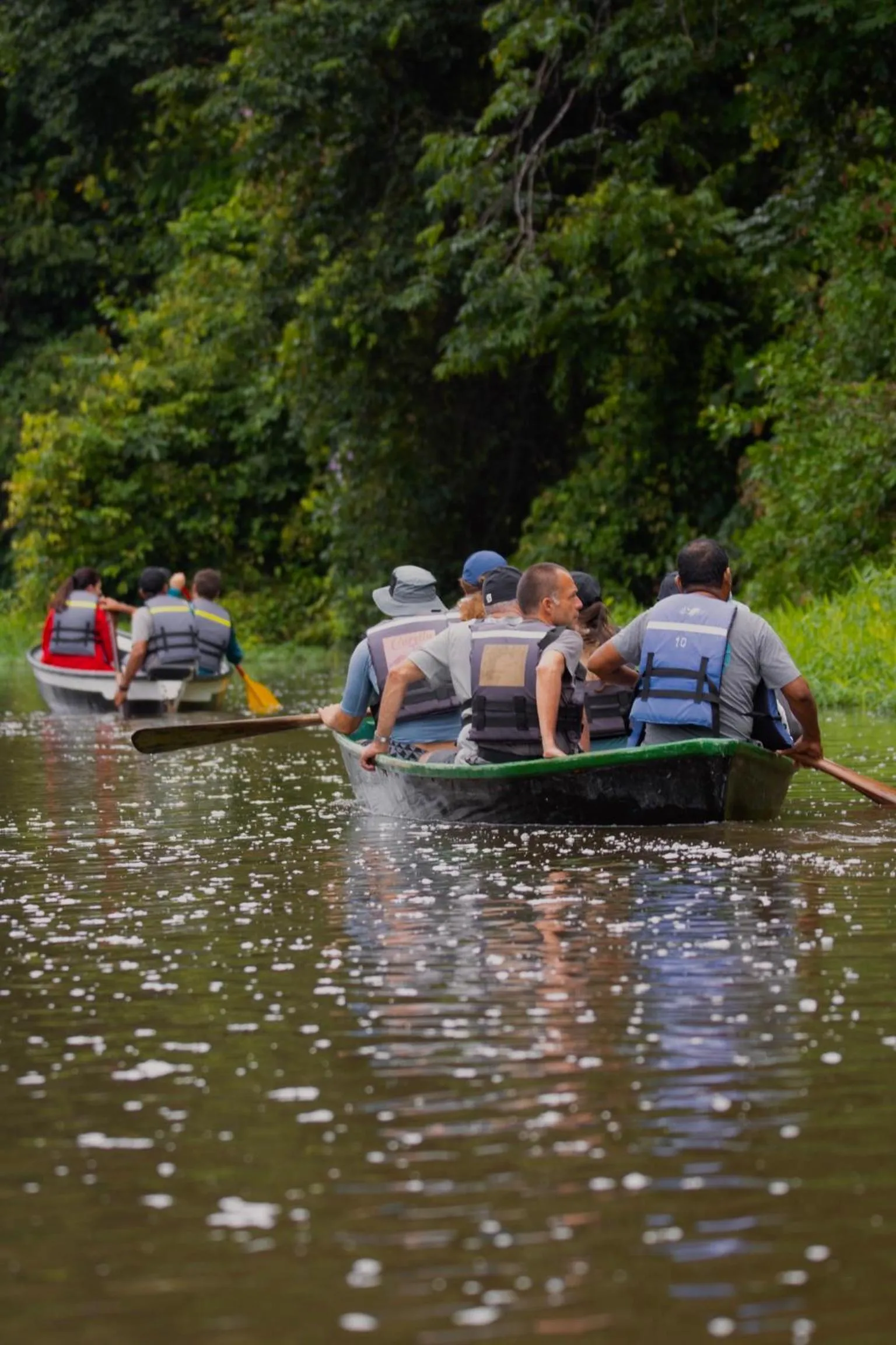 Activities in Hotel El Icaco Tortuguero