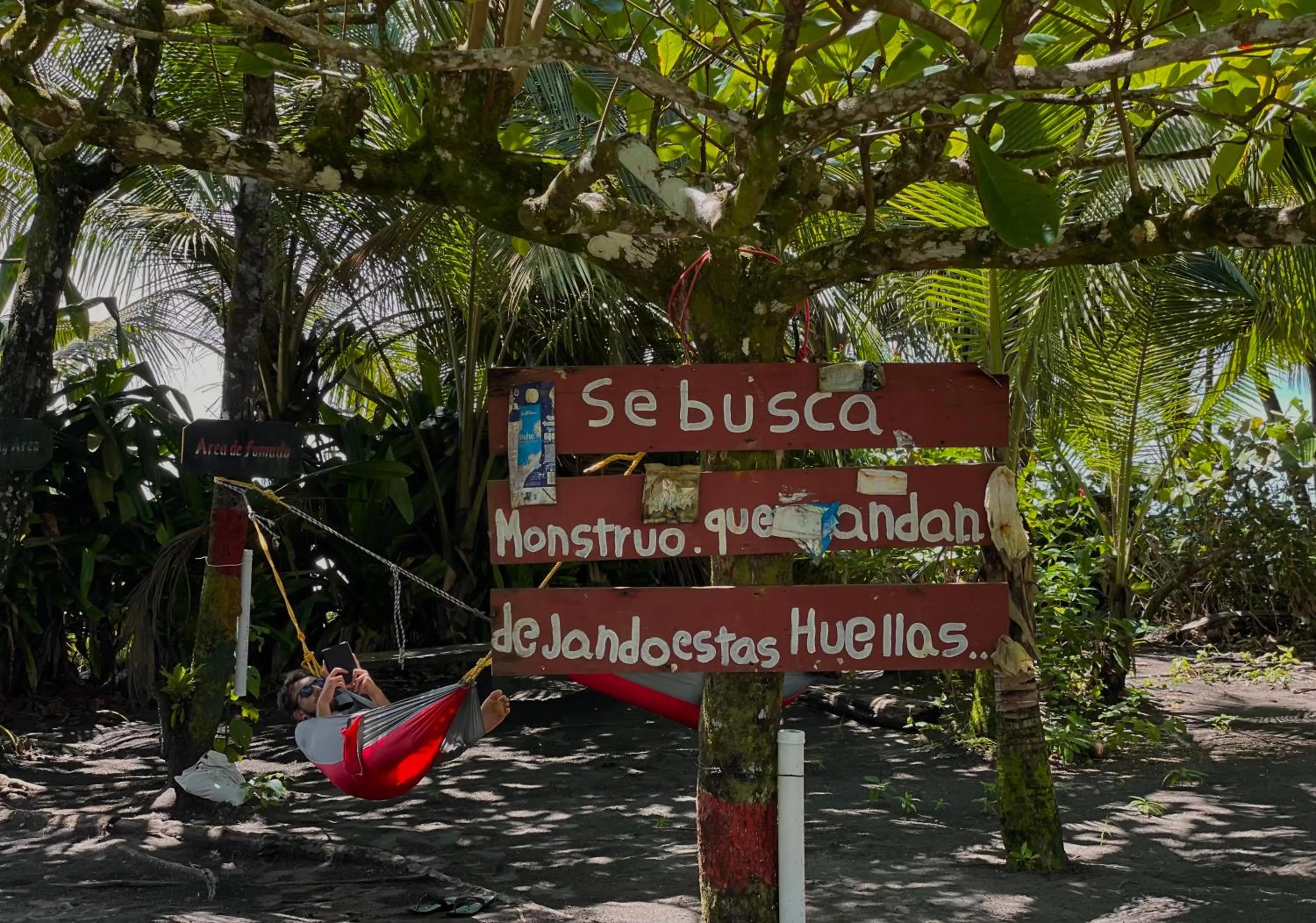 Other in Hotel El Icaco Tortuguero
