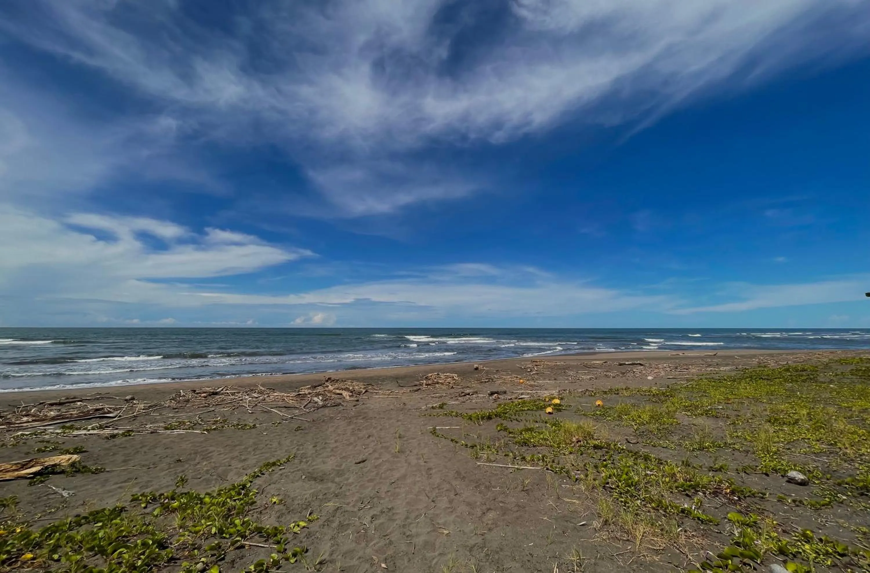 Beach in Hotel El Icaco Tortuguero