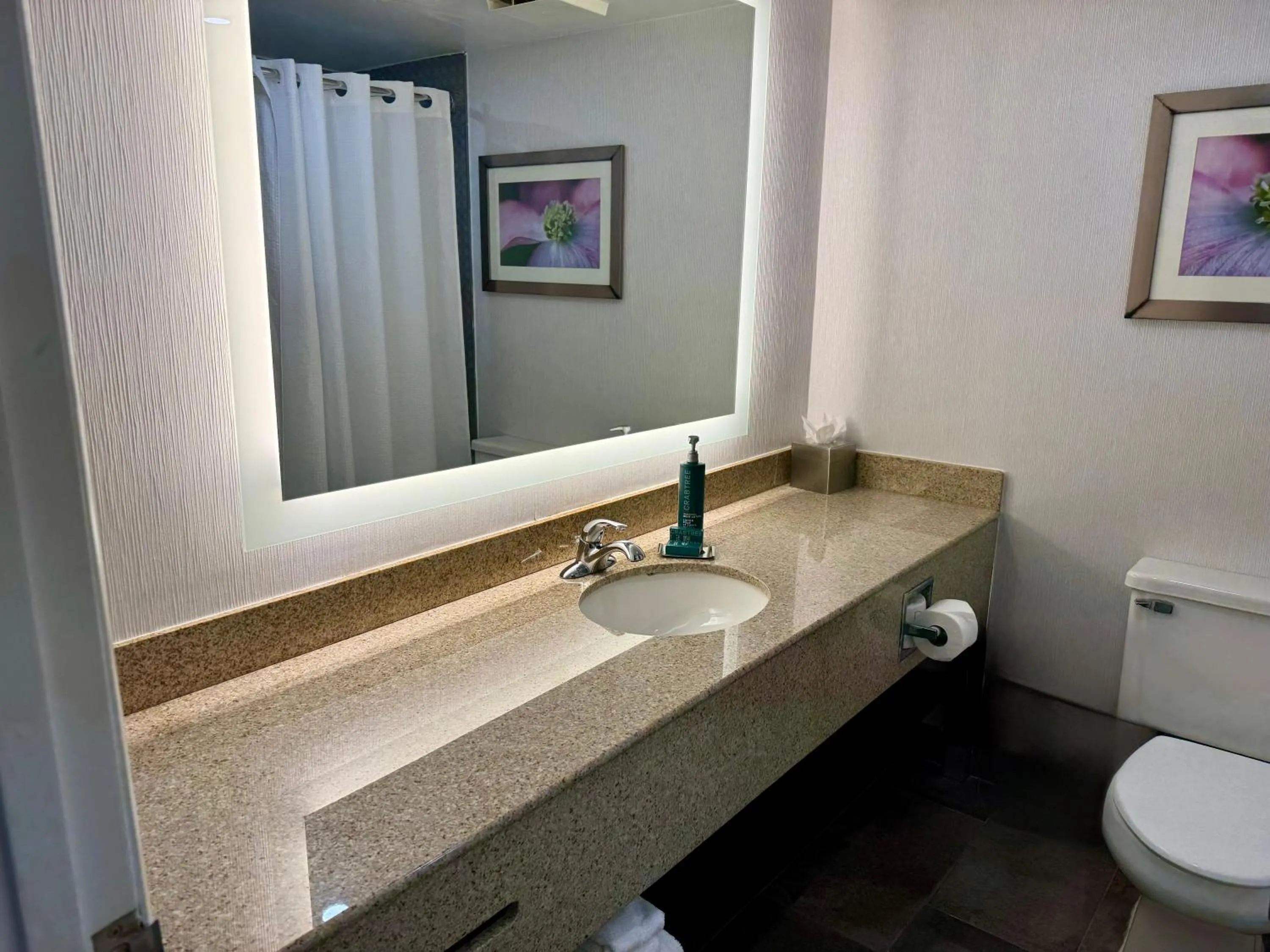 Bathroom in DoubleTree by Hilton Richmond - Midlothian