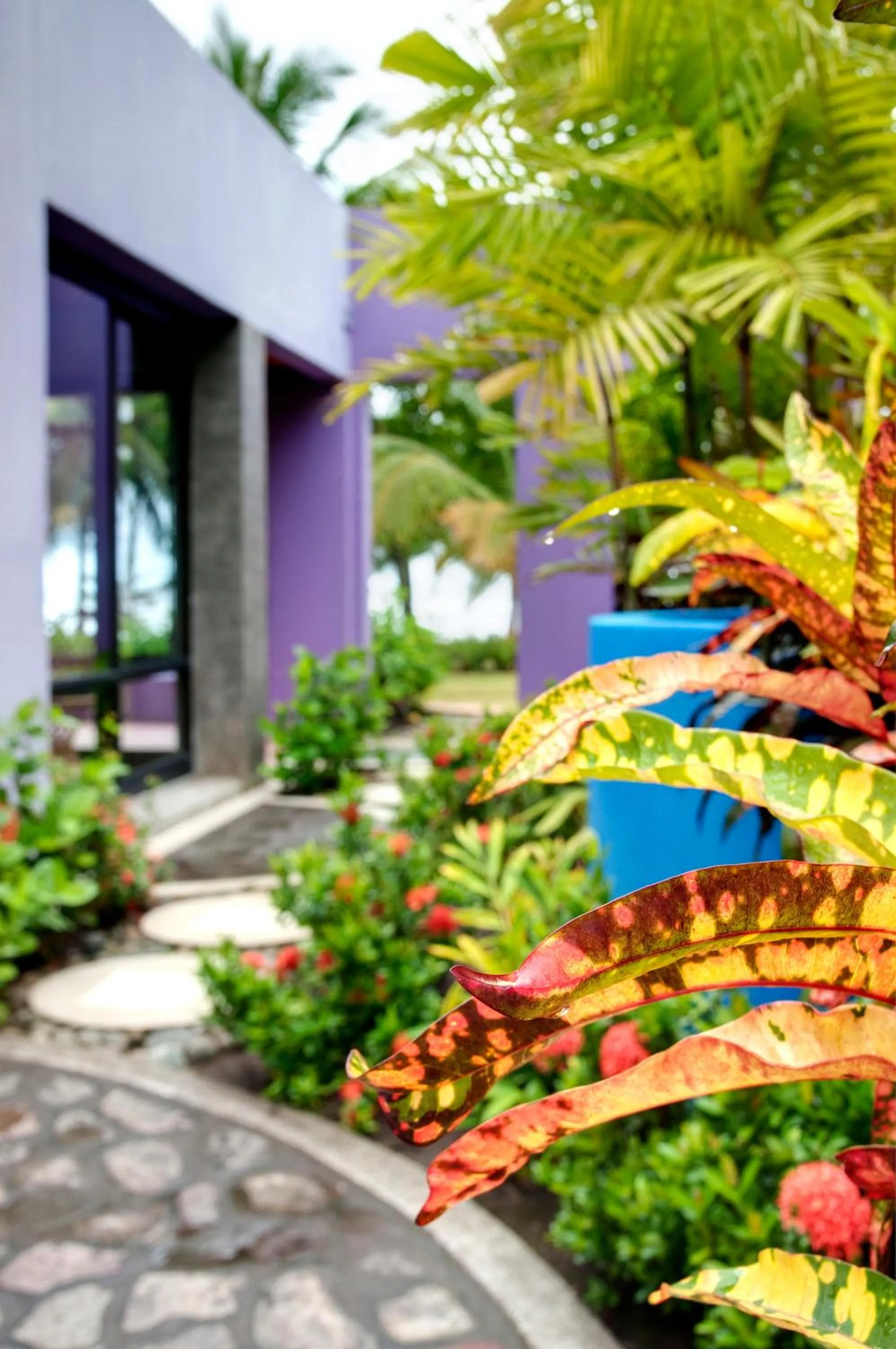 Garden in Alma del Pacifico Hotel & Spa