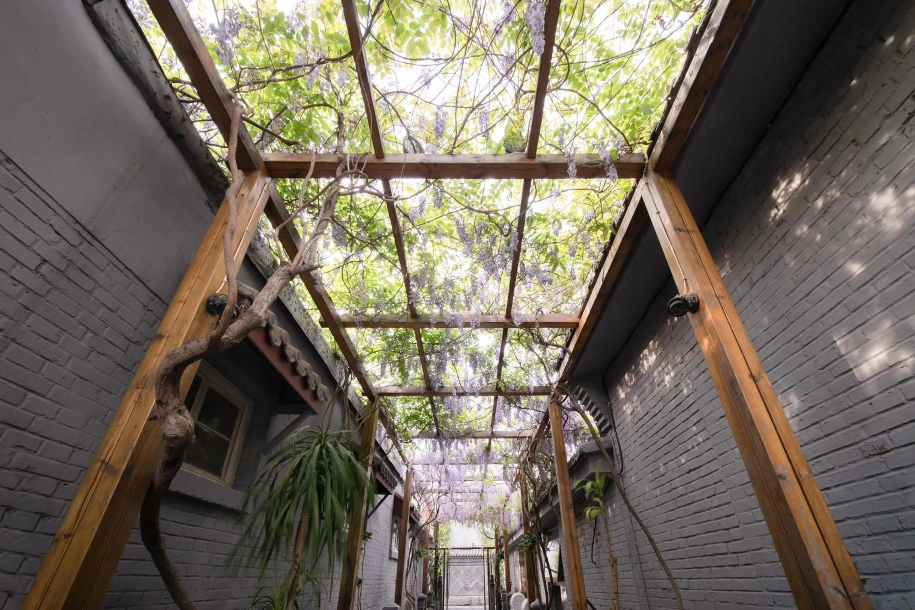 Garden in Guipu Beihai Courtyard Hotel Beijing