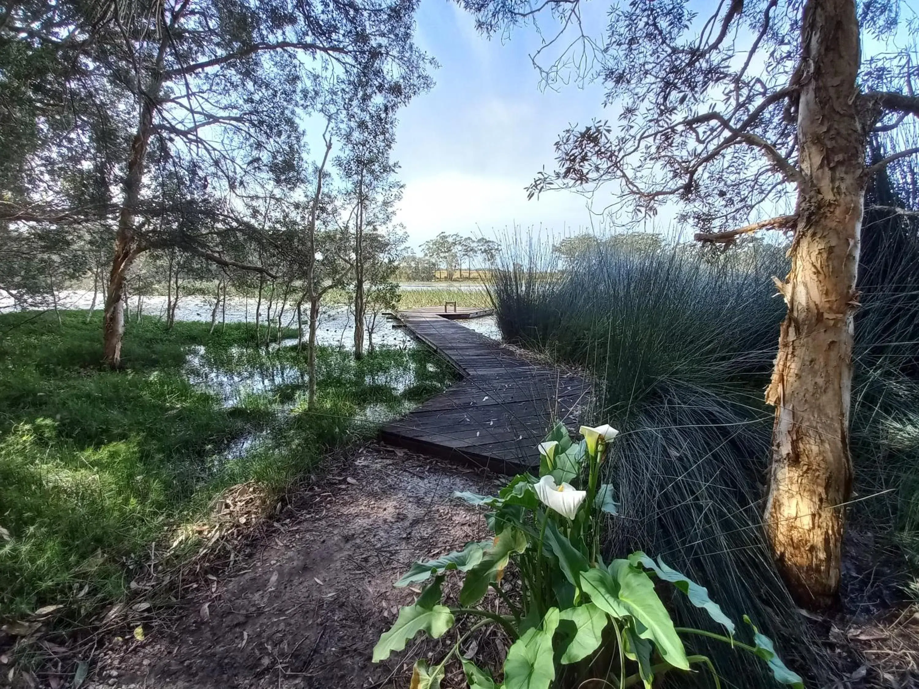 Double Room with Lake View in Lake Russell Lakeside Retreat Double Room with Lake View in Lake Russell Lakeside Retreat