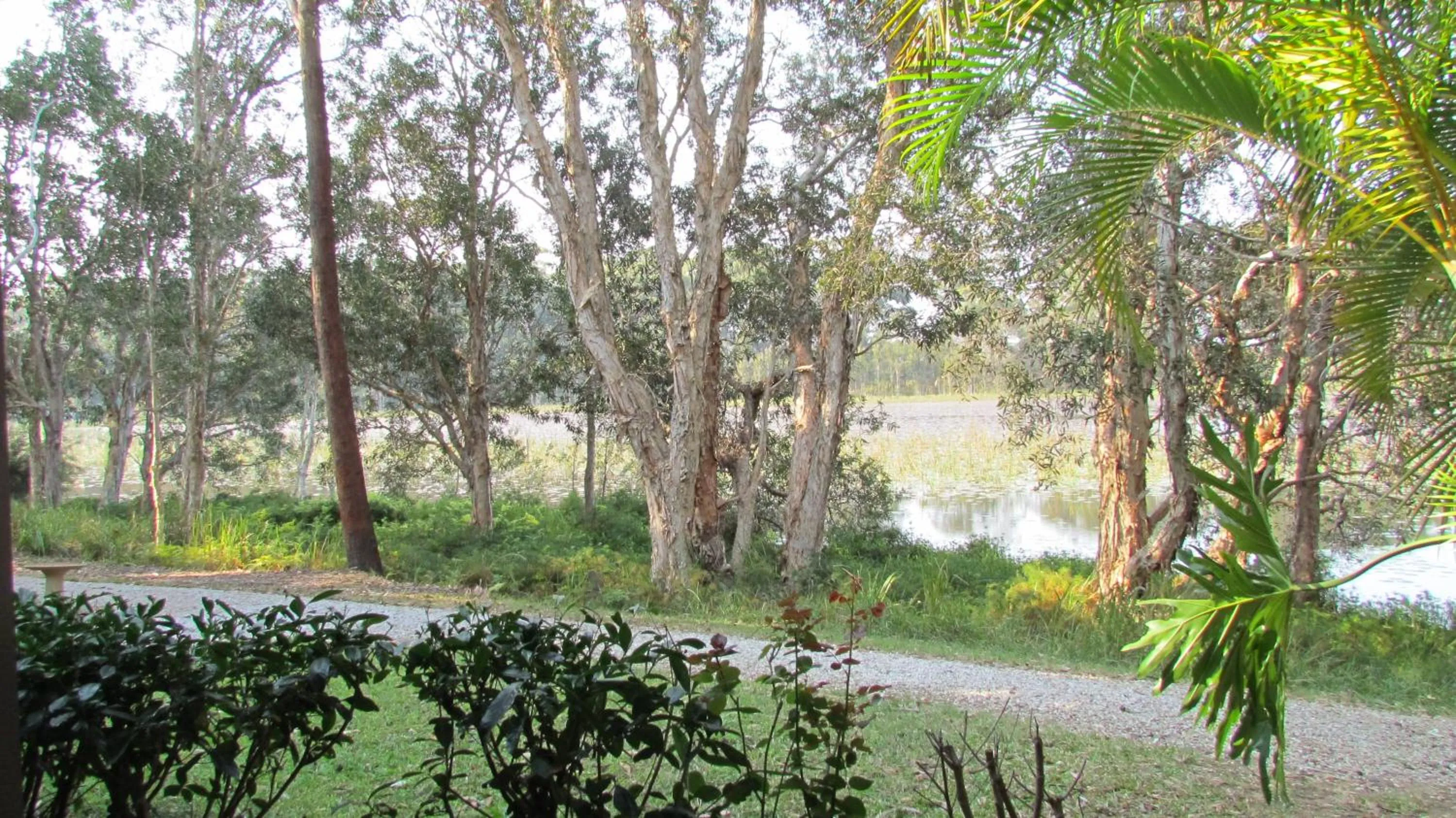 Lake Russell Lakeside Retreat