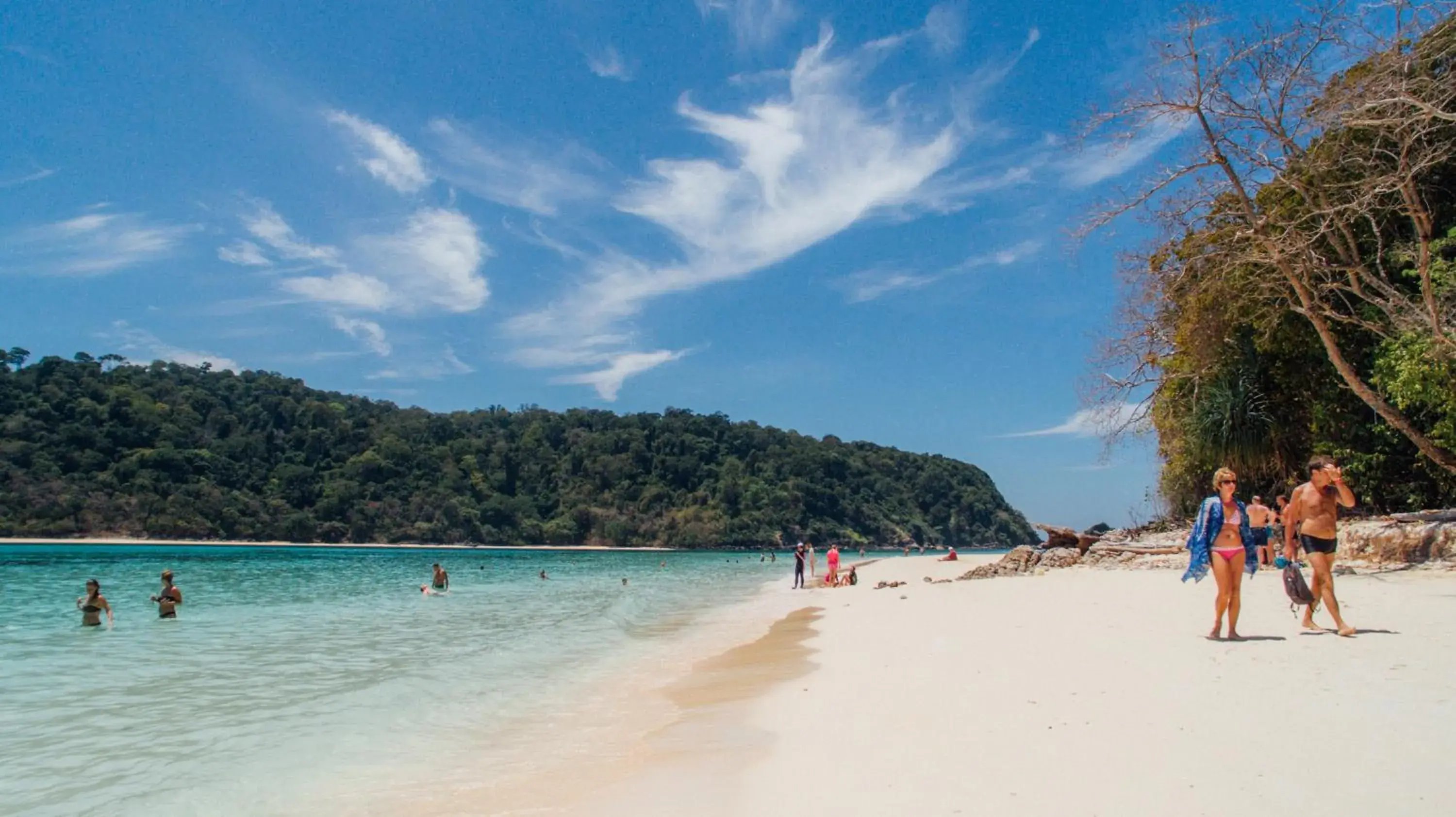 Beach in Thai Island Dream Estate