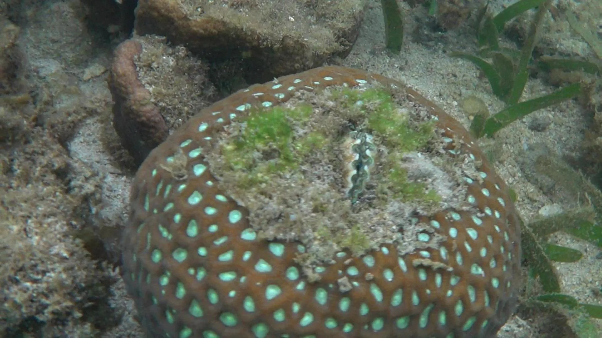 Snorkeling in Ten RooMs