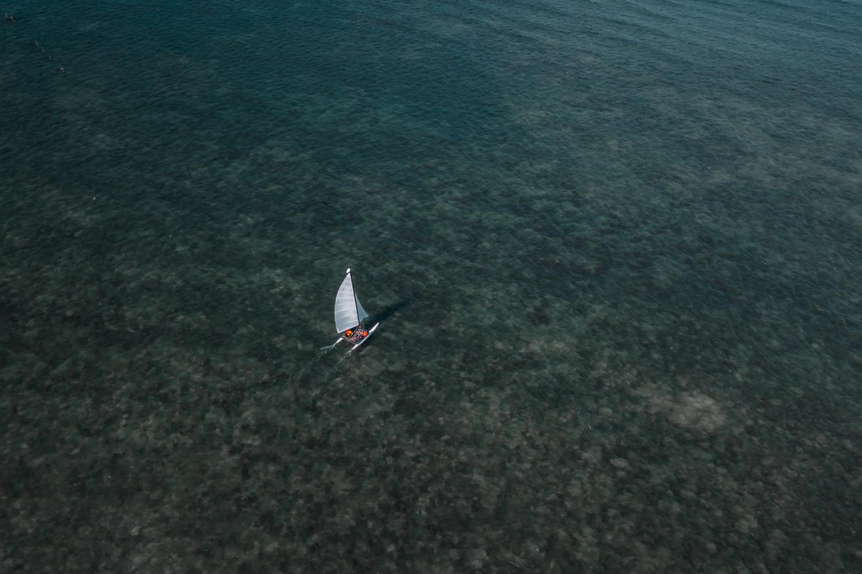 Sea view in Ten RooMs