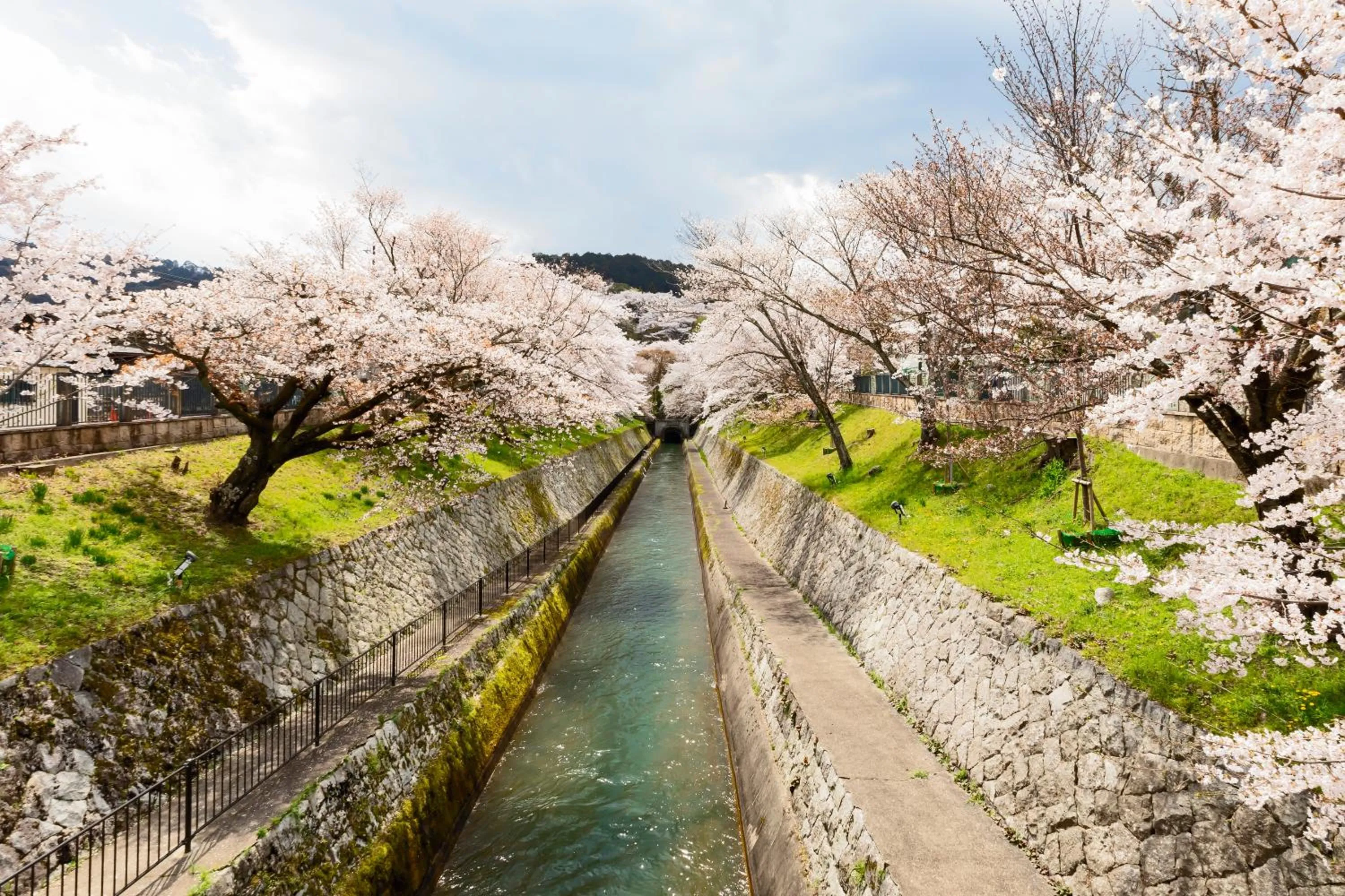 Spring in Temple-stay WAQOO Mii-dera