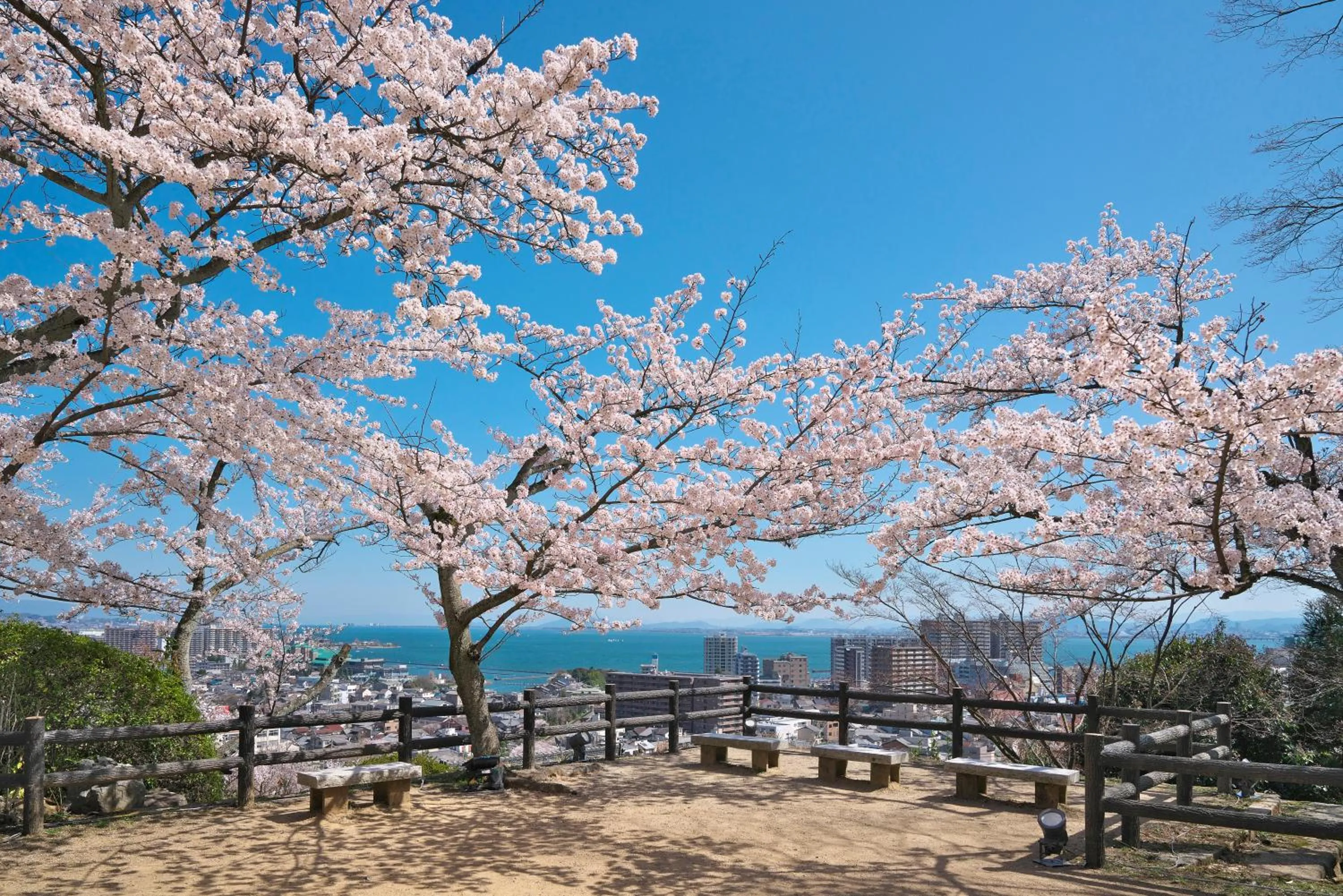 Spring in Temple-stay WAQOO Mii-dera
