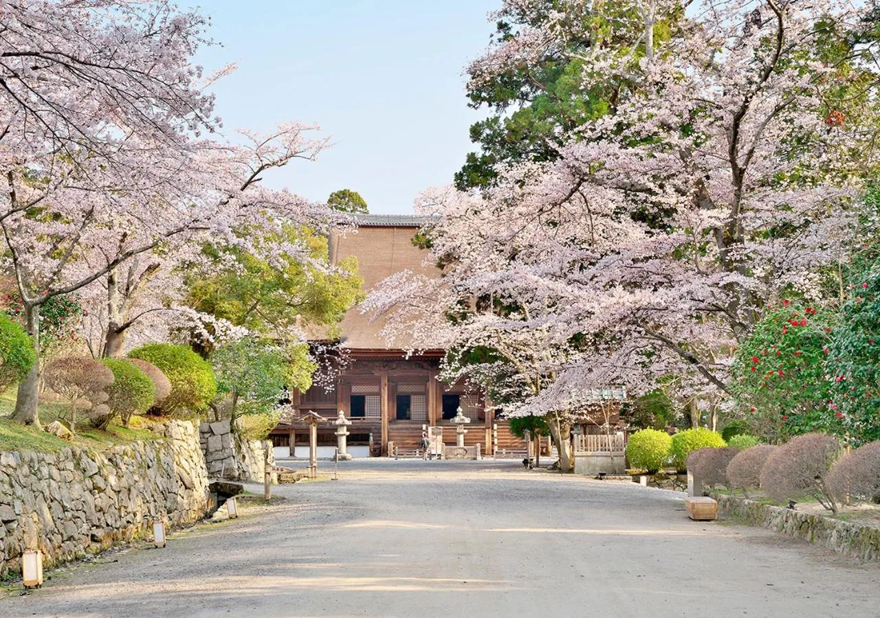 Spring in Temple-stay WAQOO Mii-dera