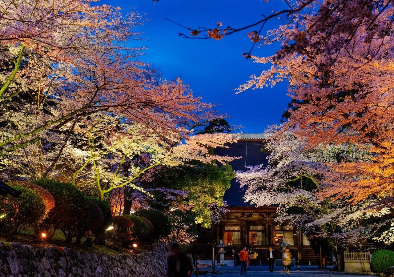 Spring in Temple-stay WAQOO Mii-dera