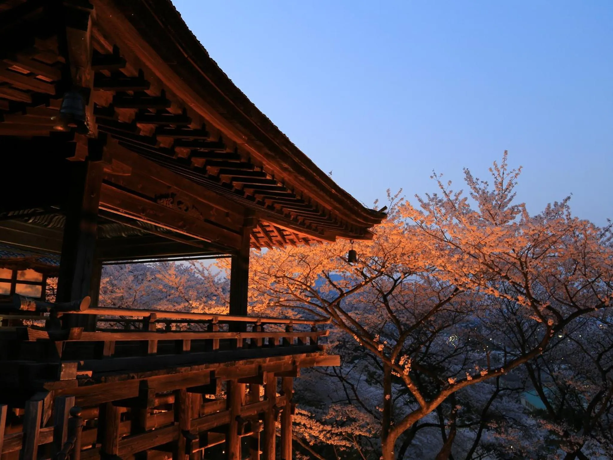 Spring in Temple-stay WAQOO Mii-dera