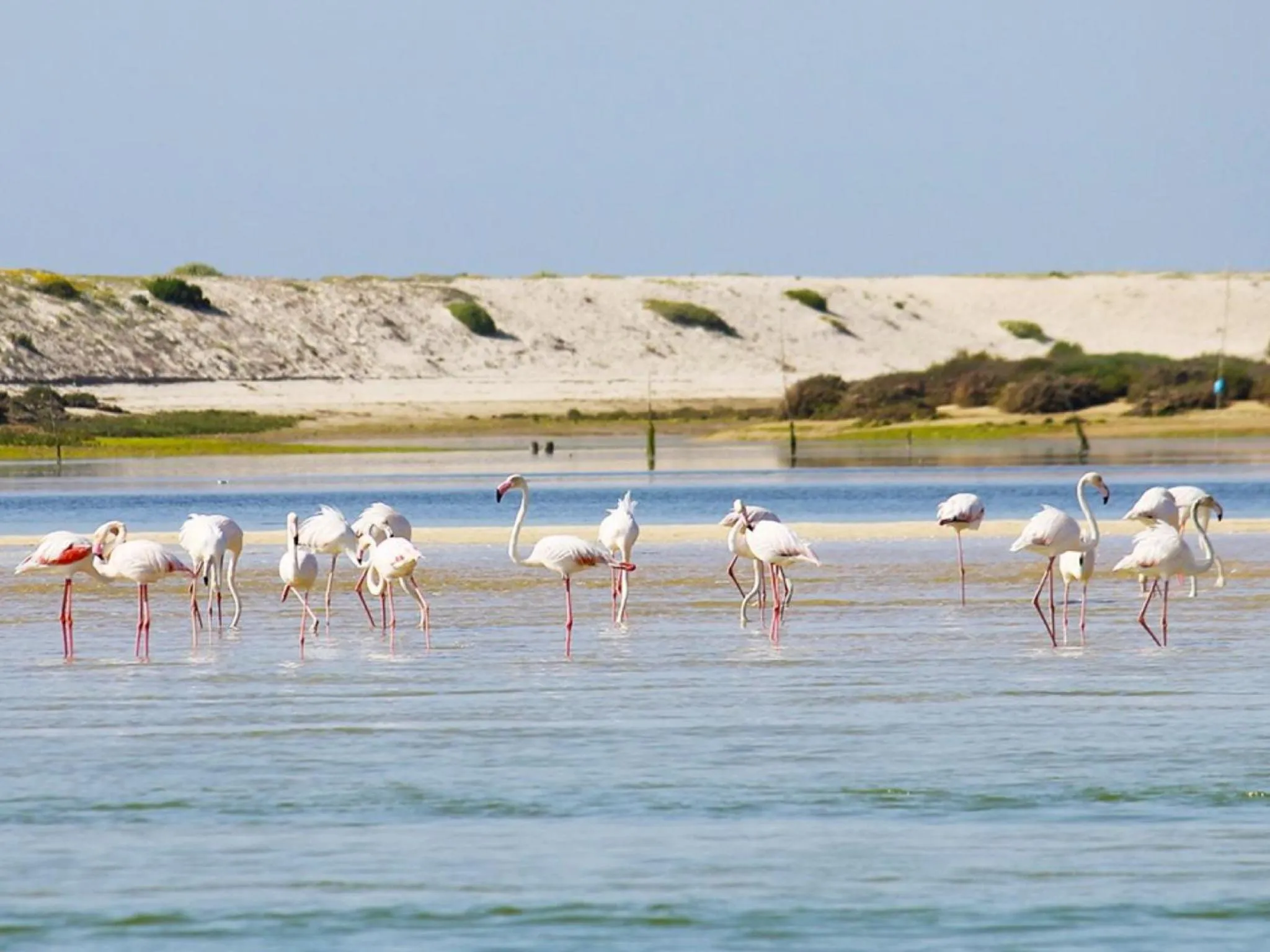 Activities in Hotel Quinta do Lago