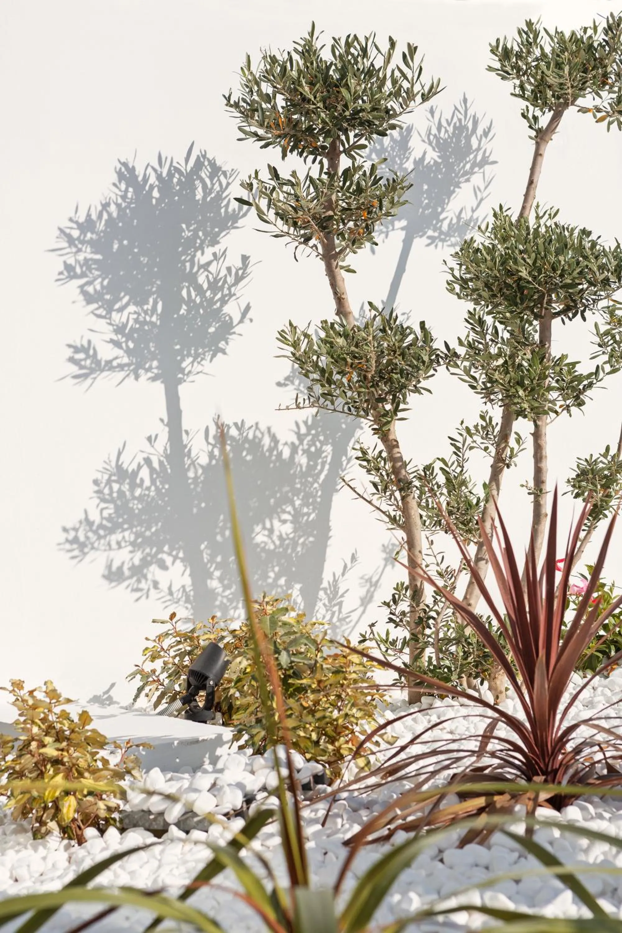 Garden in Sunprime Protaras Beach - Adults Only