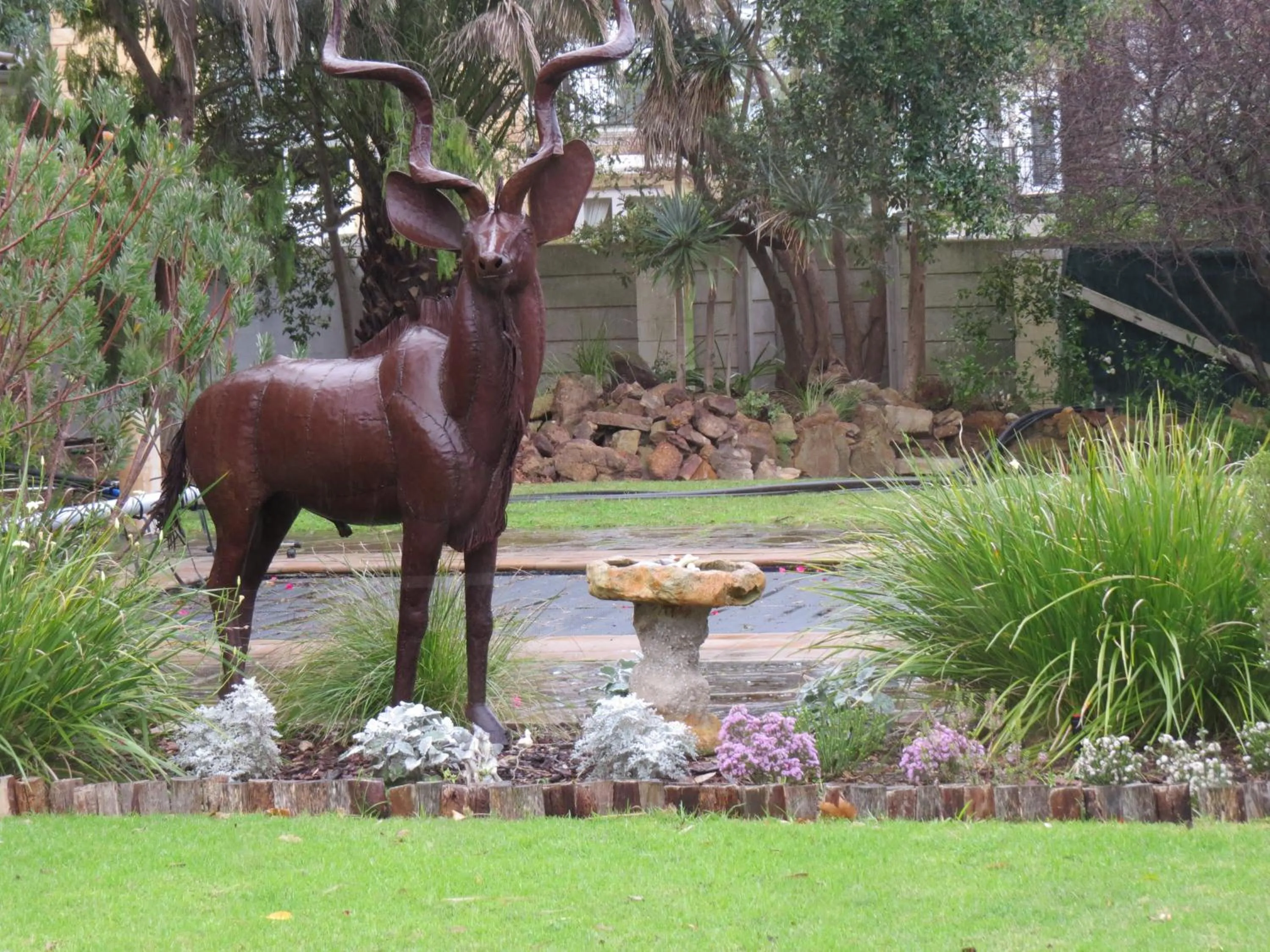 Garden view in Easy Five Guest House