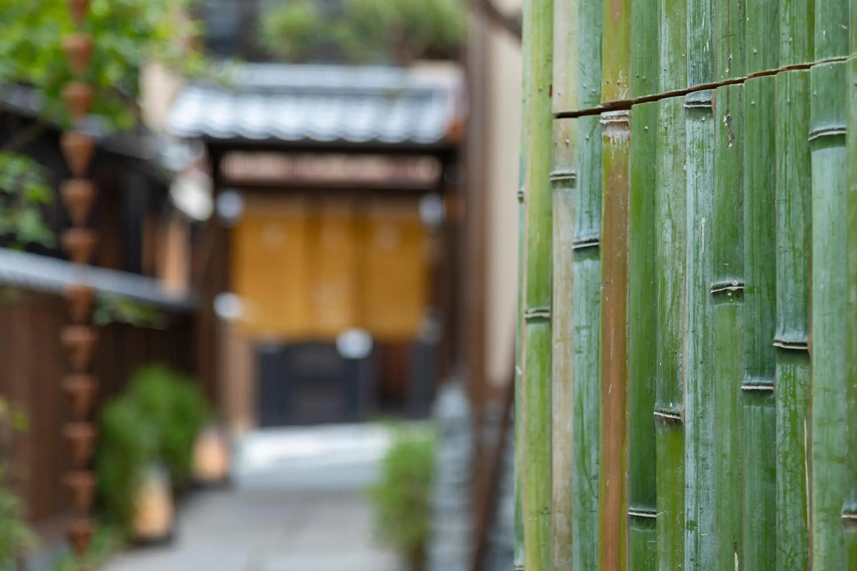 Facade/entrance in Campton Kiyomizu Vacation Rental Facade/entrance in Campton Kiyomizu Vacation Rental
