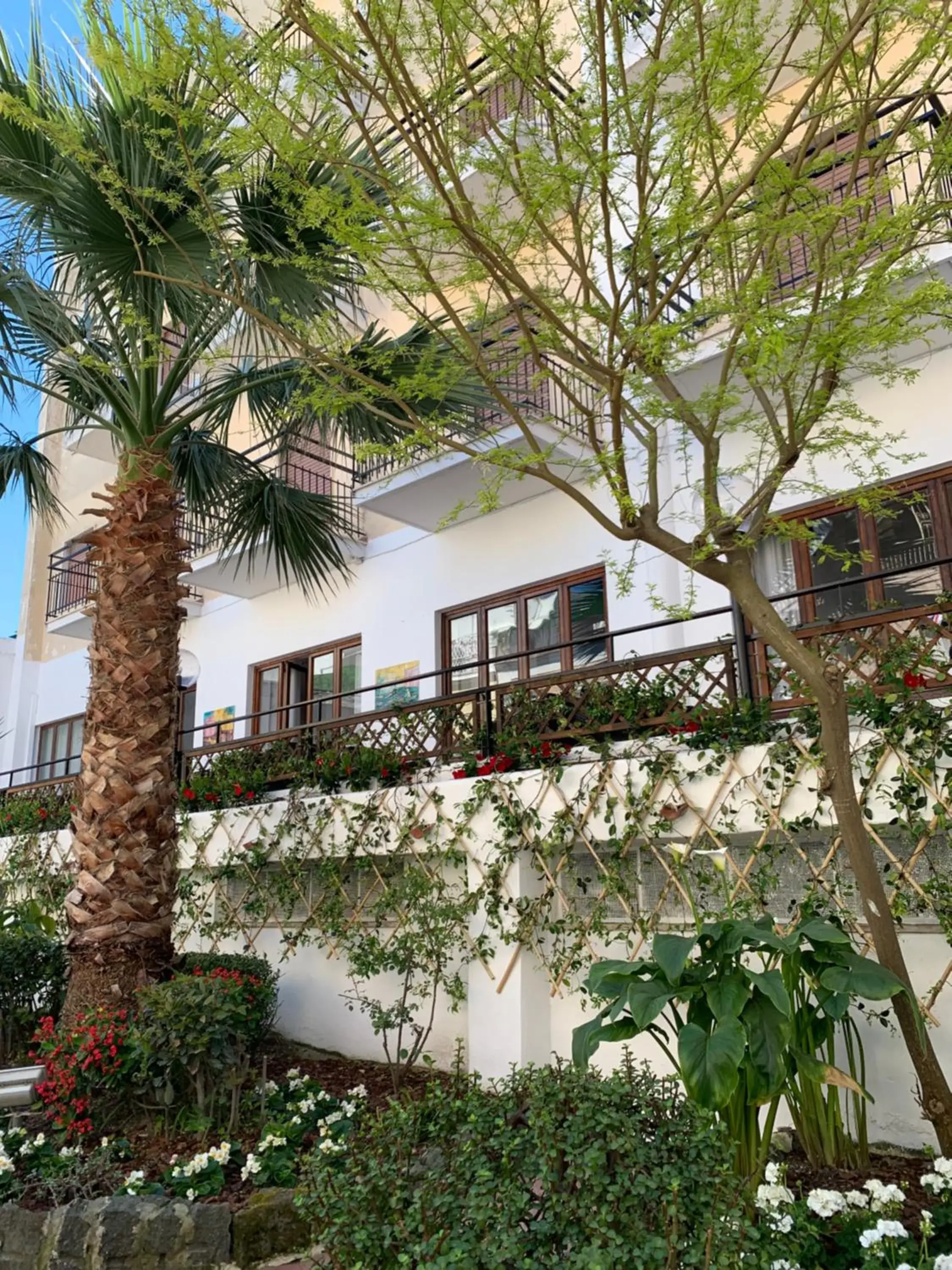 Hotel Conte Hotel Conte