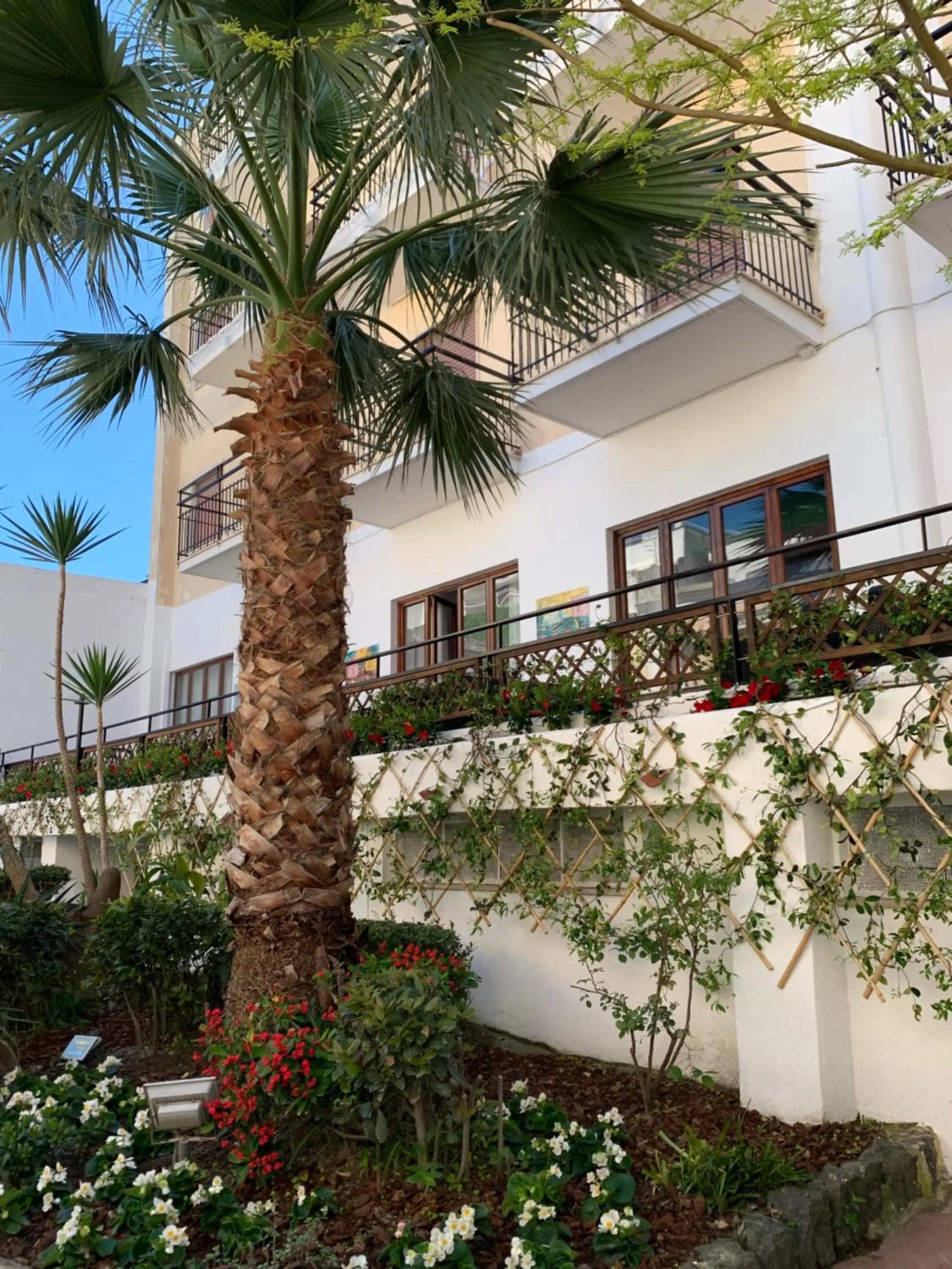 Garden in Hotel Conte