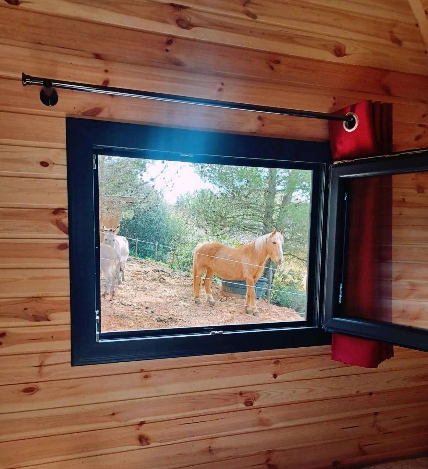 Photo of the whole room in Domaine de Villemus