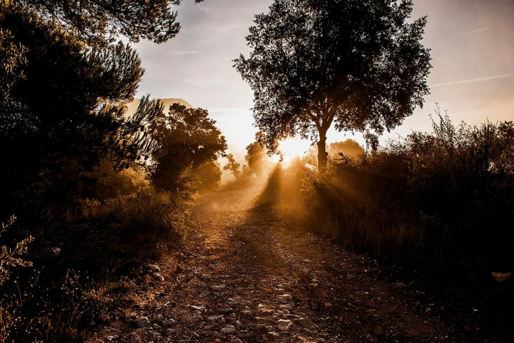 Natural landscape in Domaine de Villemus