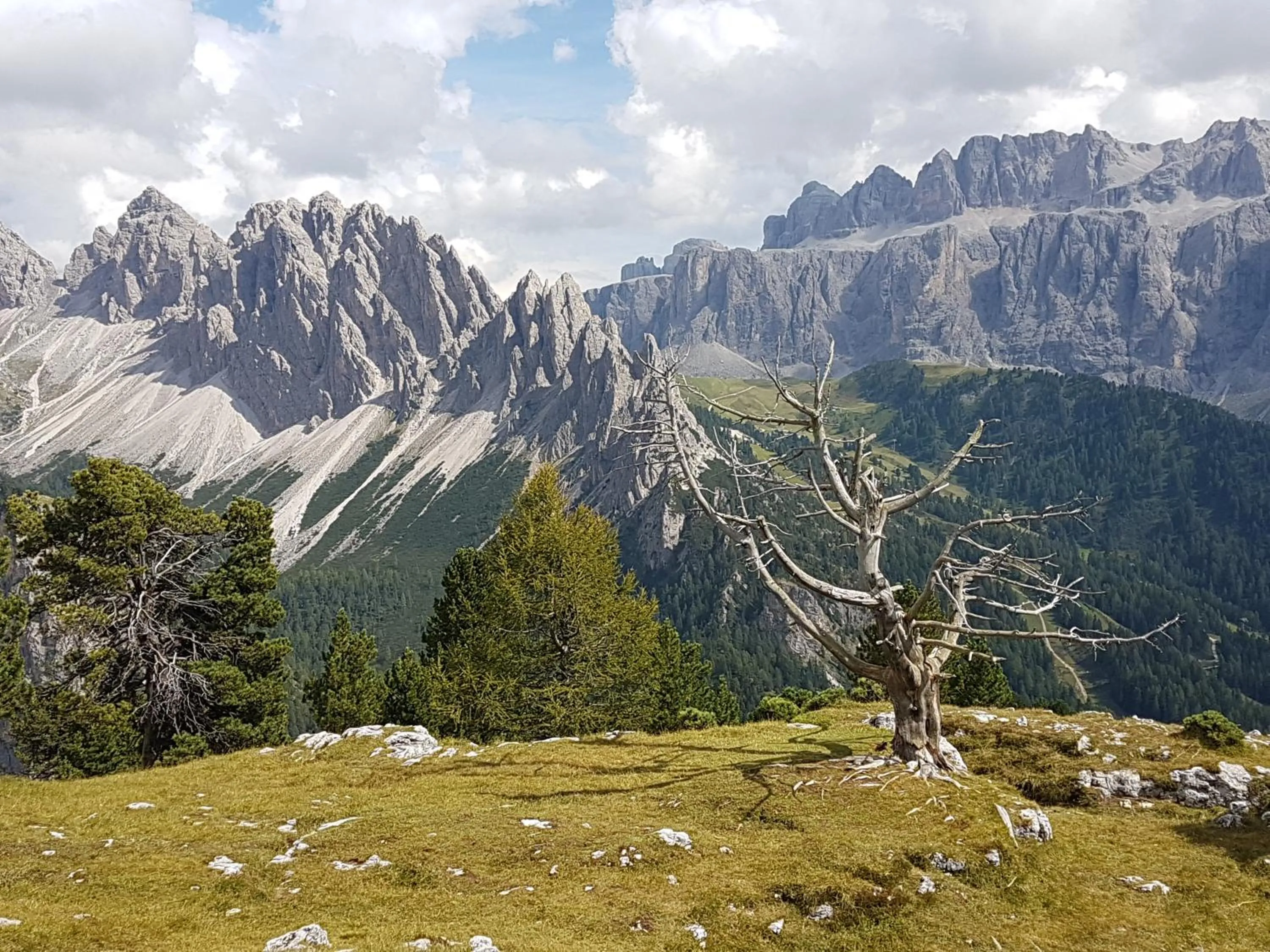 Nearby landmark in Villa Otto