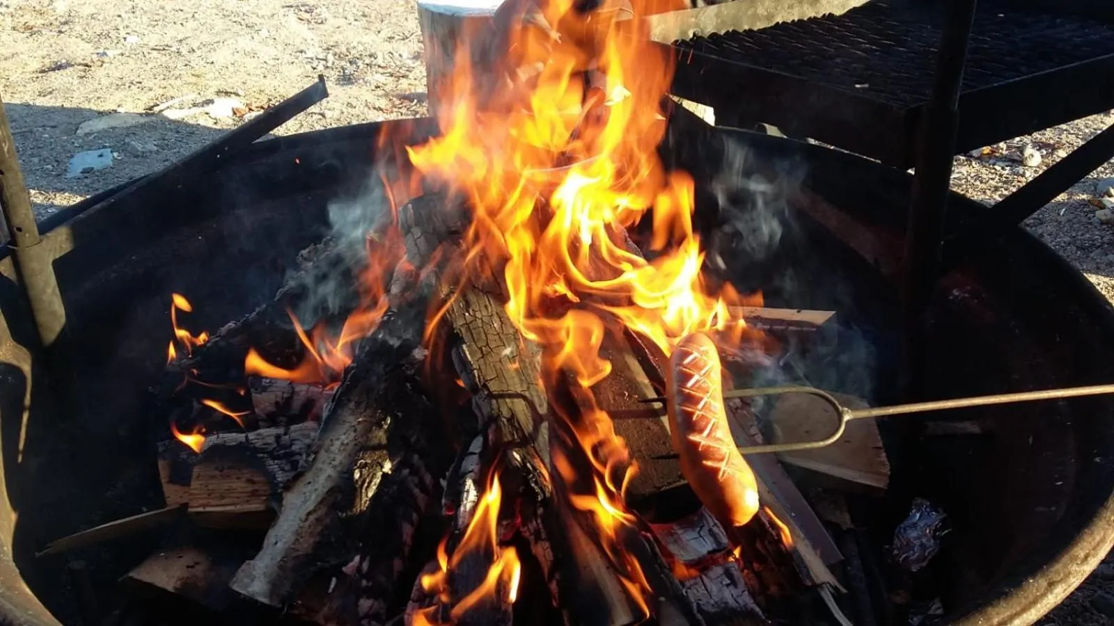 Natural landscape in Hotel Metsähirvas