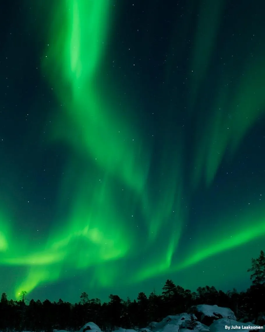 Activities in Hotel Metsähirvas