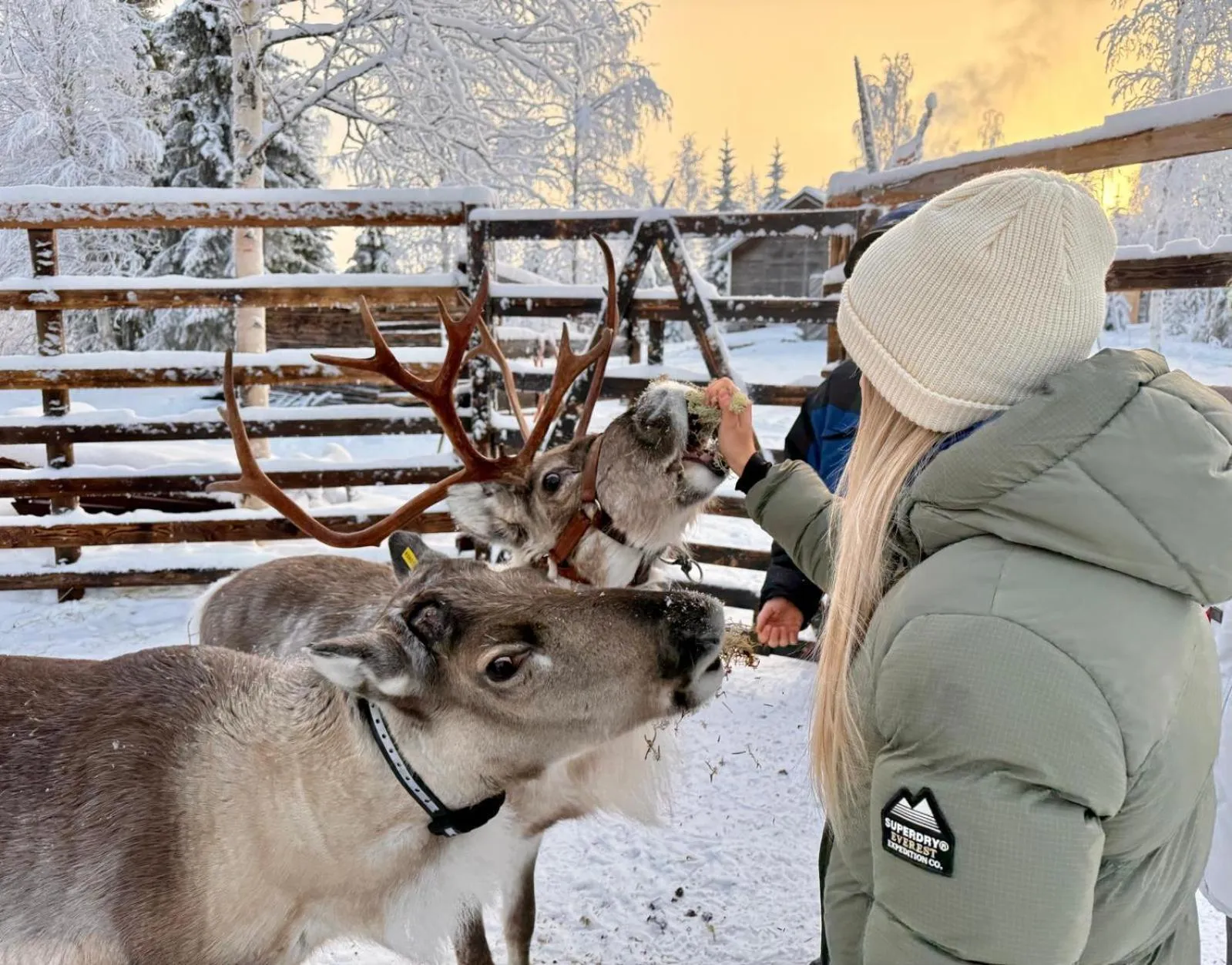 Winter in Hotel Metsähirvas