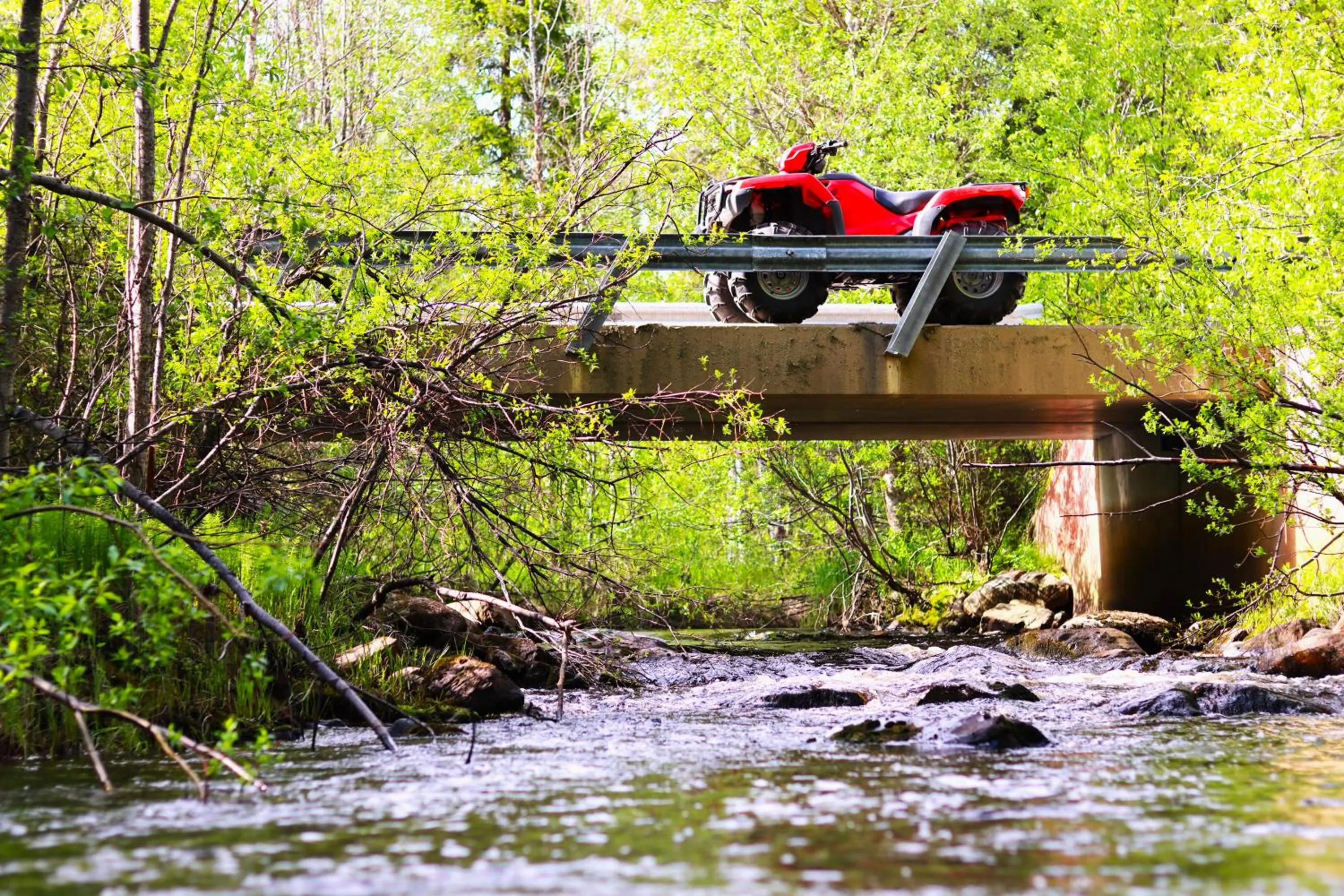 Activities in Hotel Metsähirvas