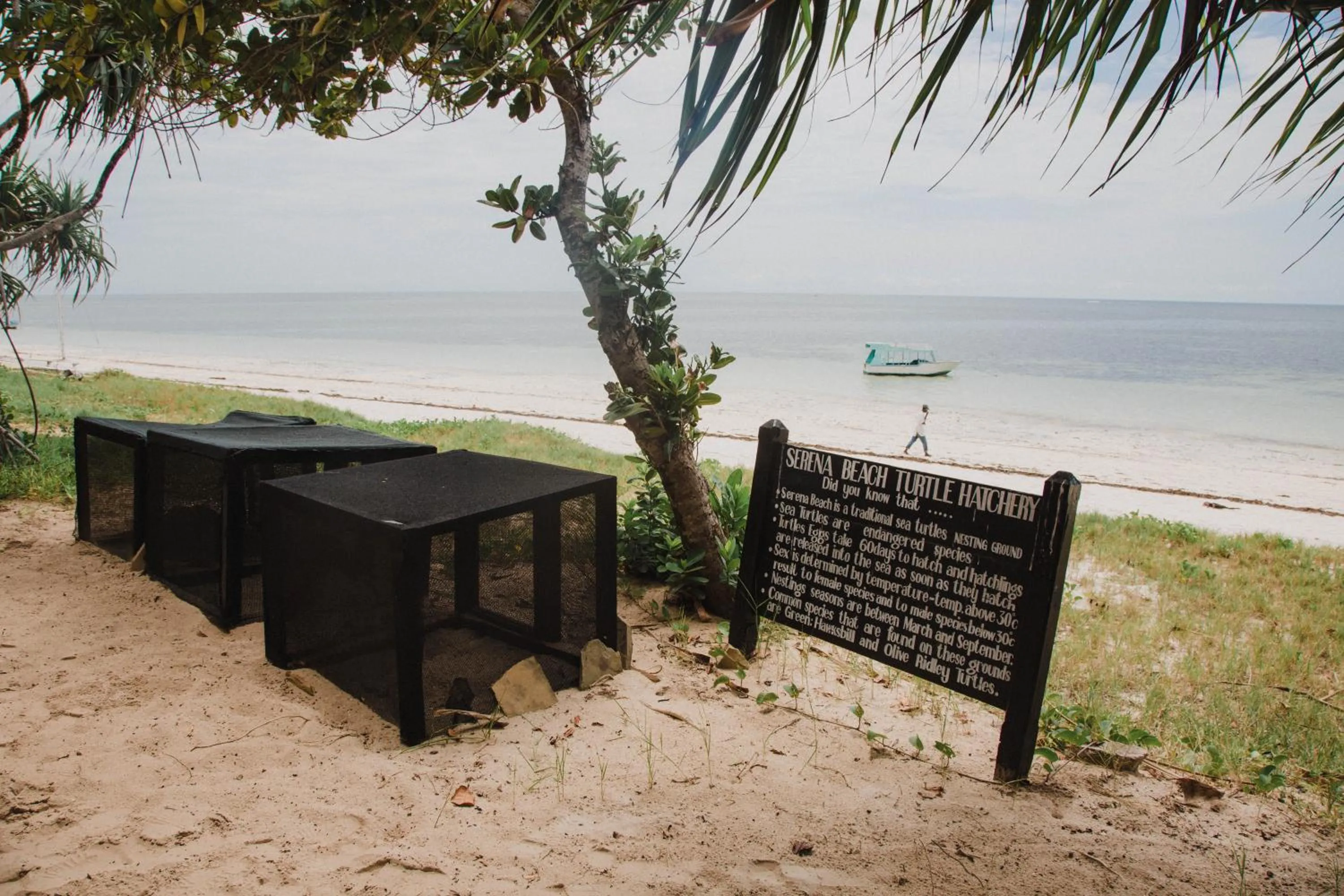 Activities in Serena Beach Resort & Spa