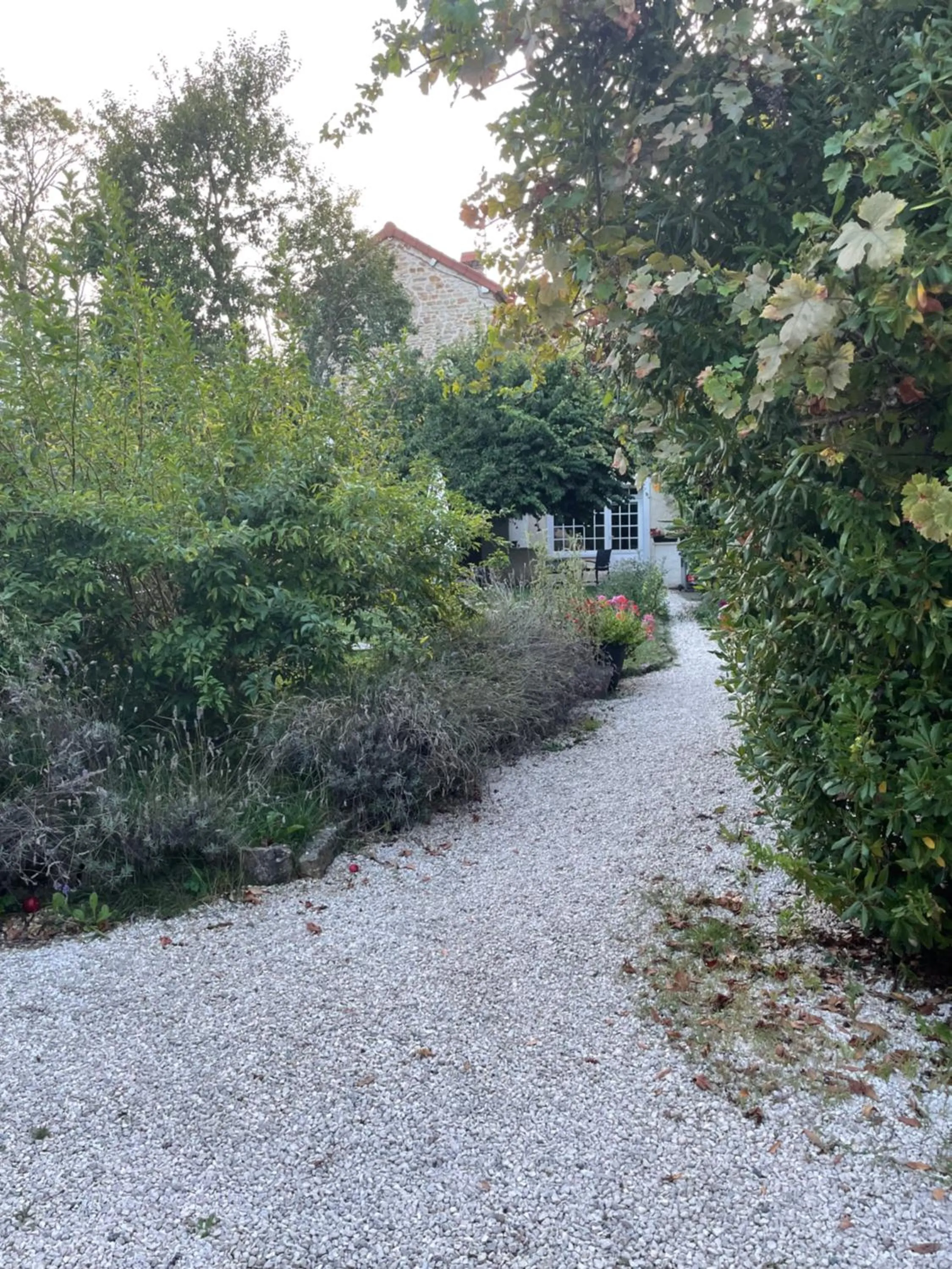 Garden in Domaine de Vandenesse Et Spa