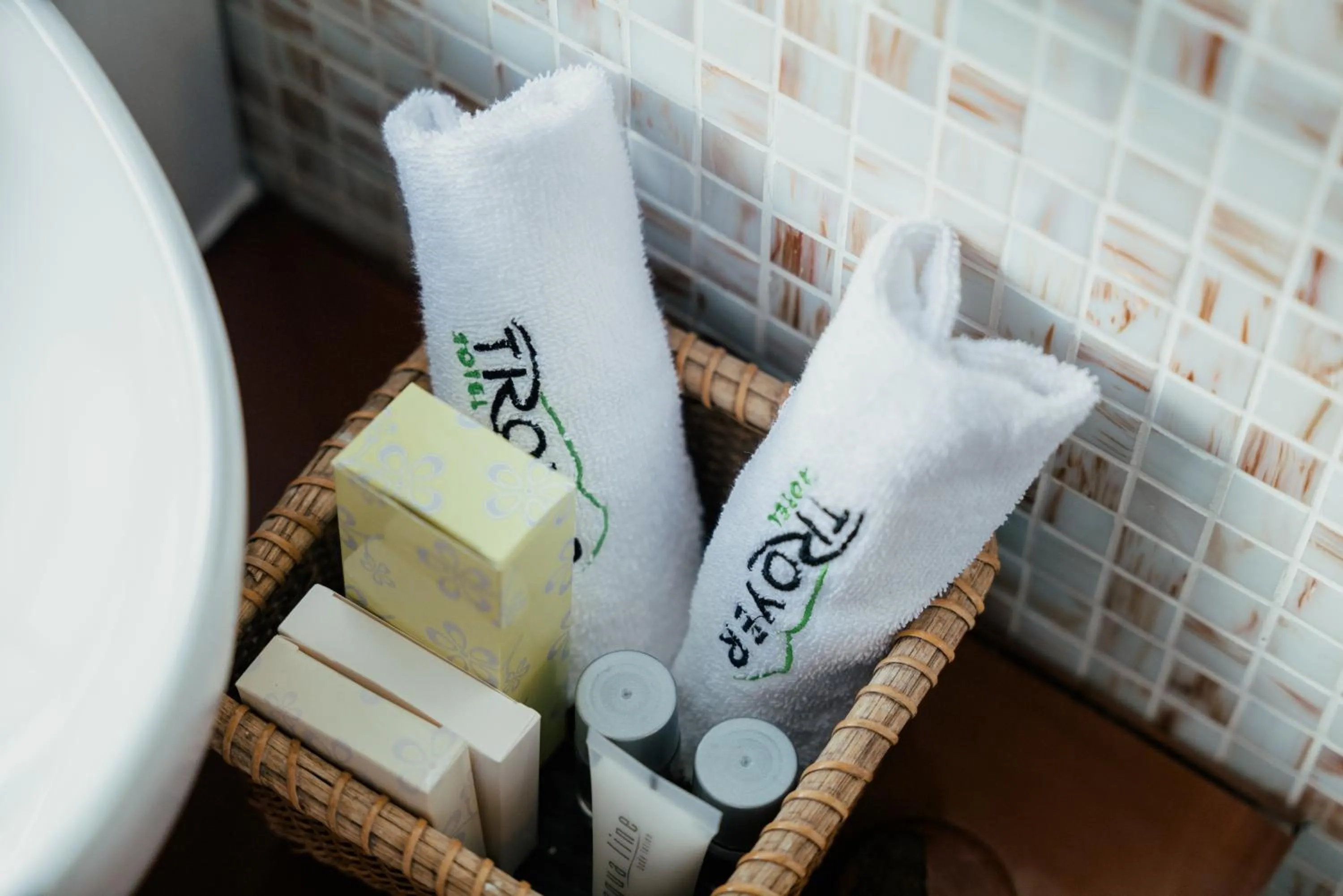 Bathroom in Hotel Troyer