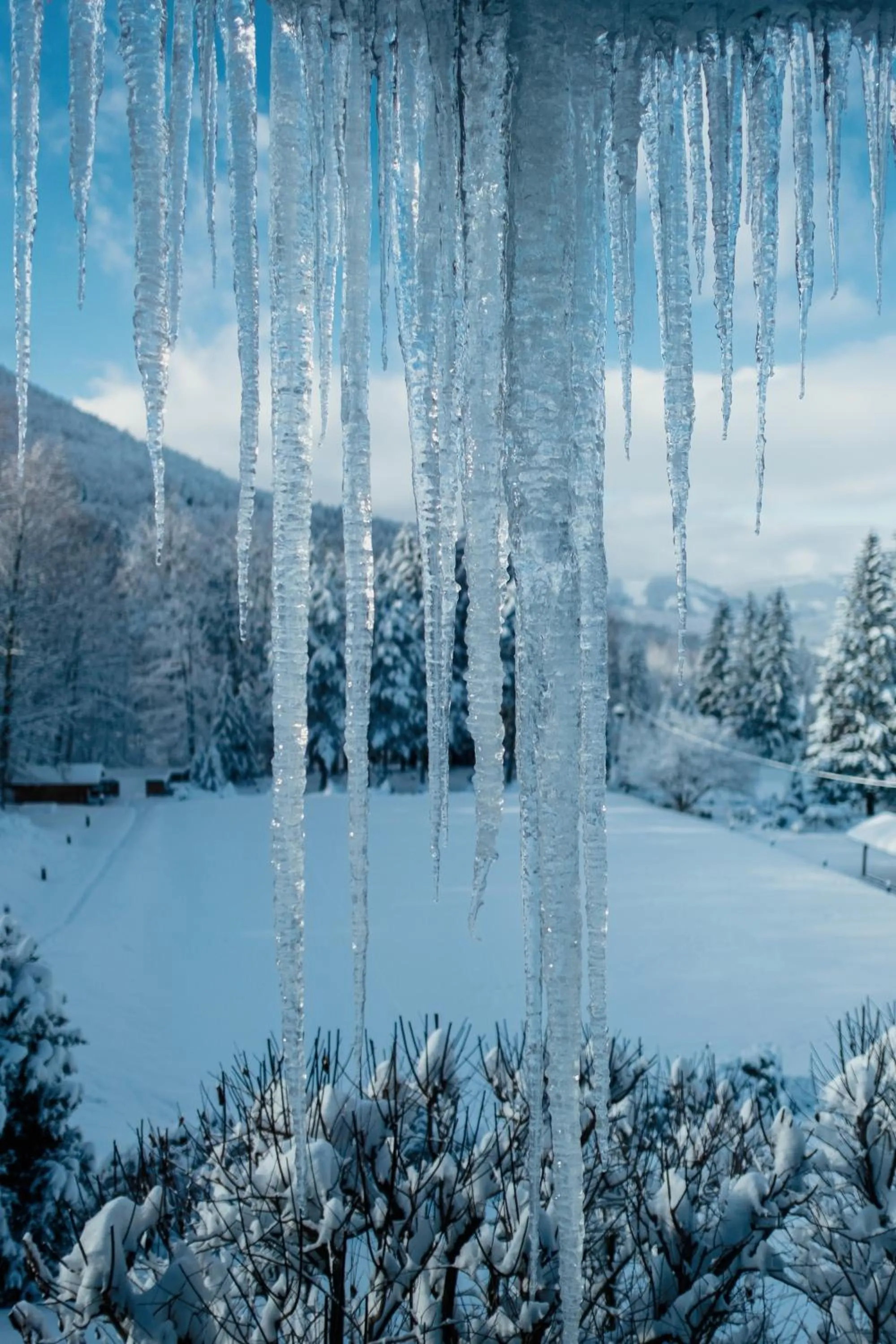 Natural landscape in Hotel Troyer