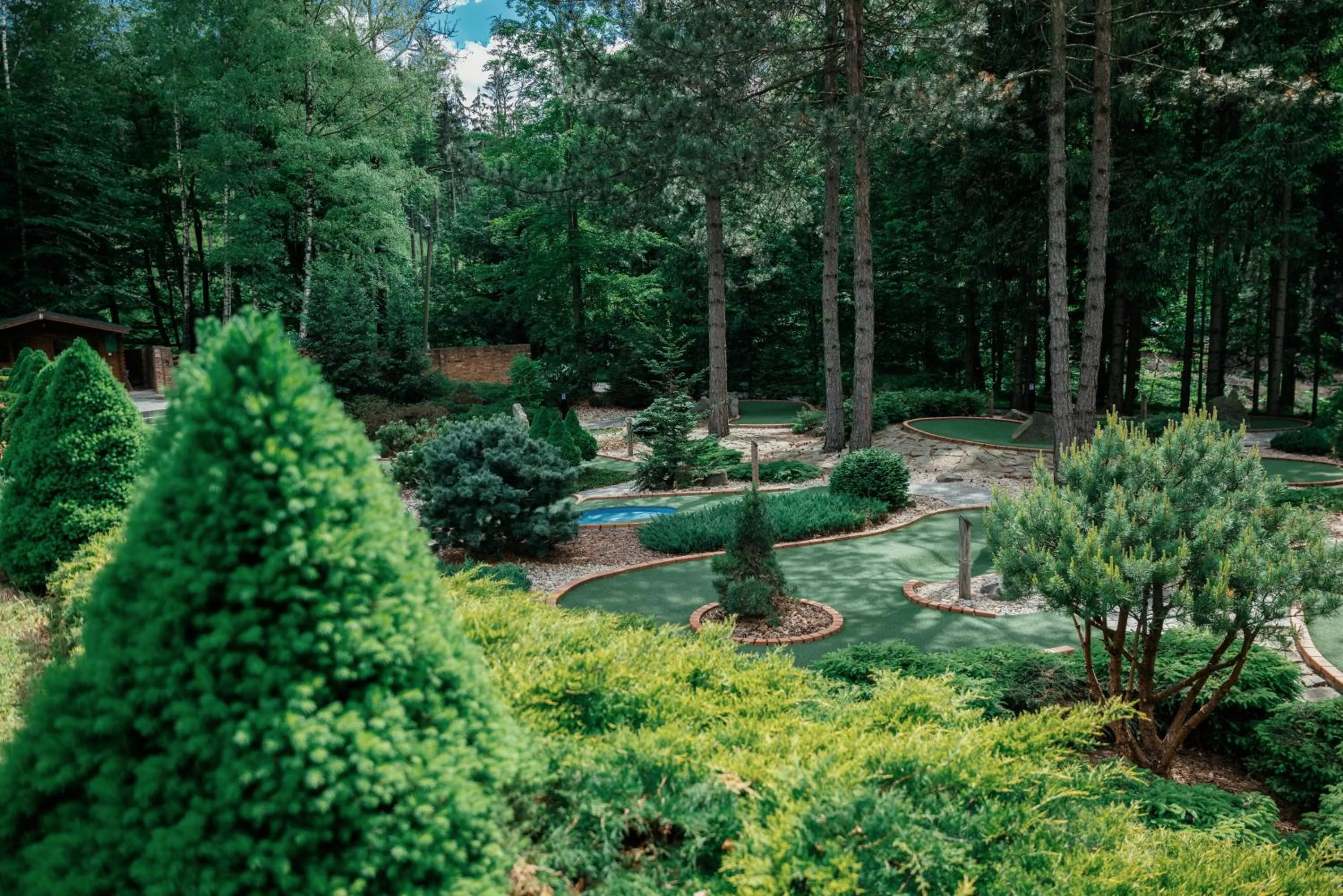 Garden in Hotel Troyer
