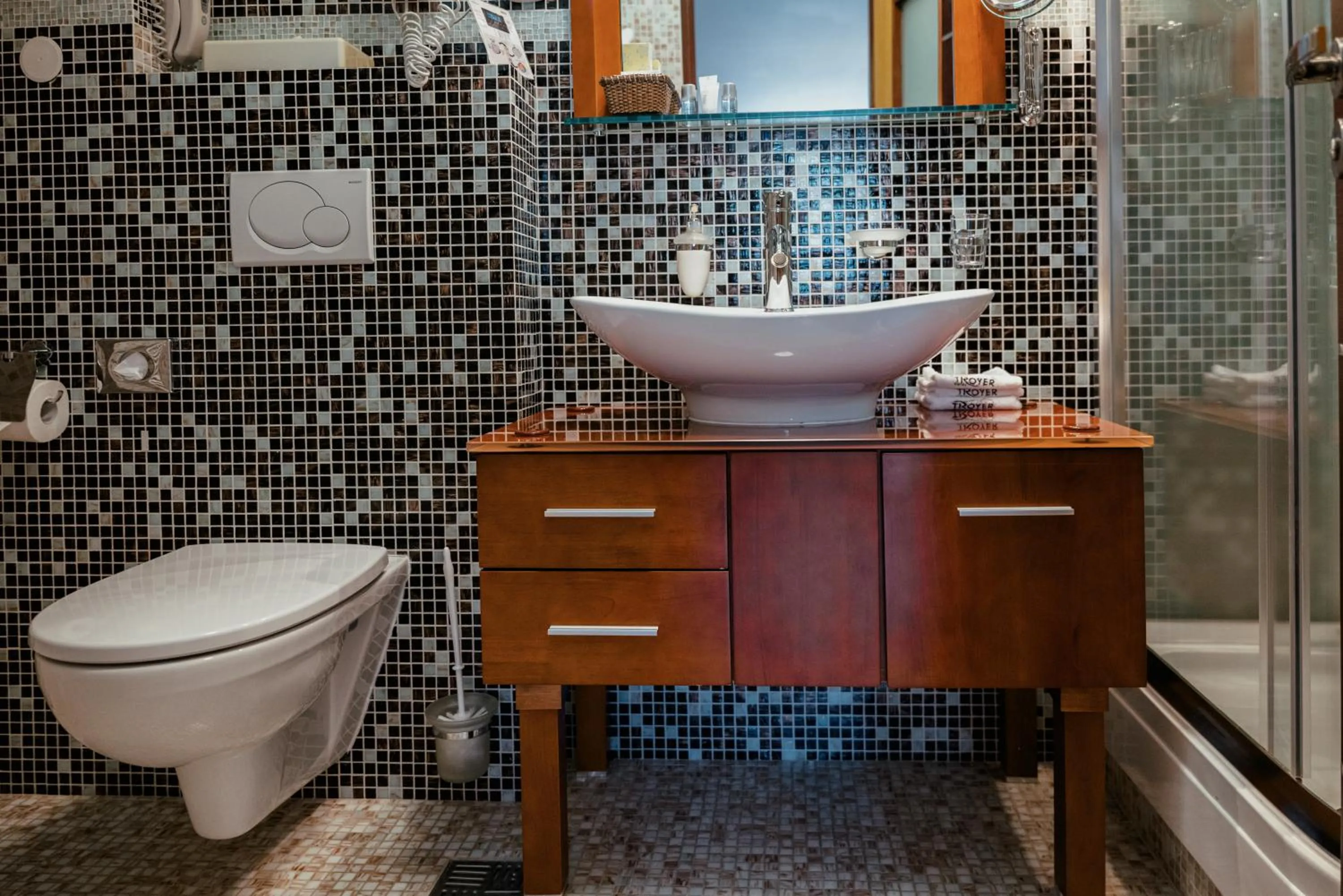 Shower in Hotel Troyer