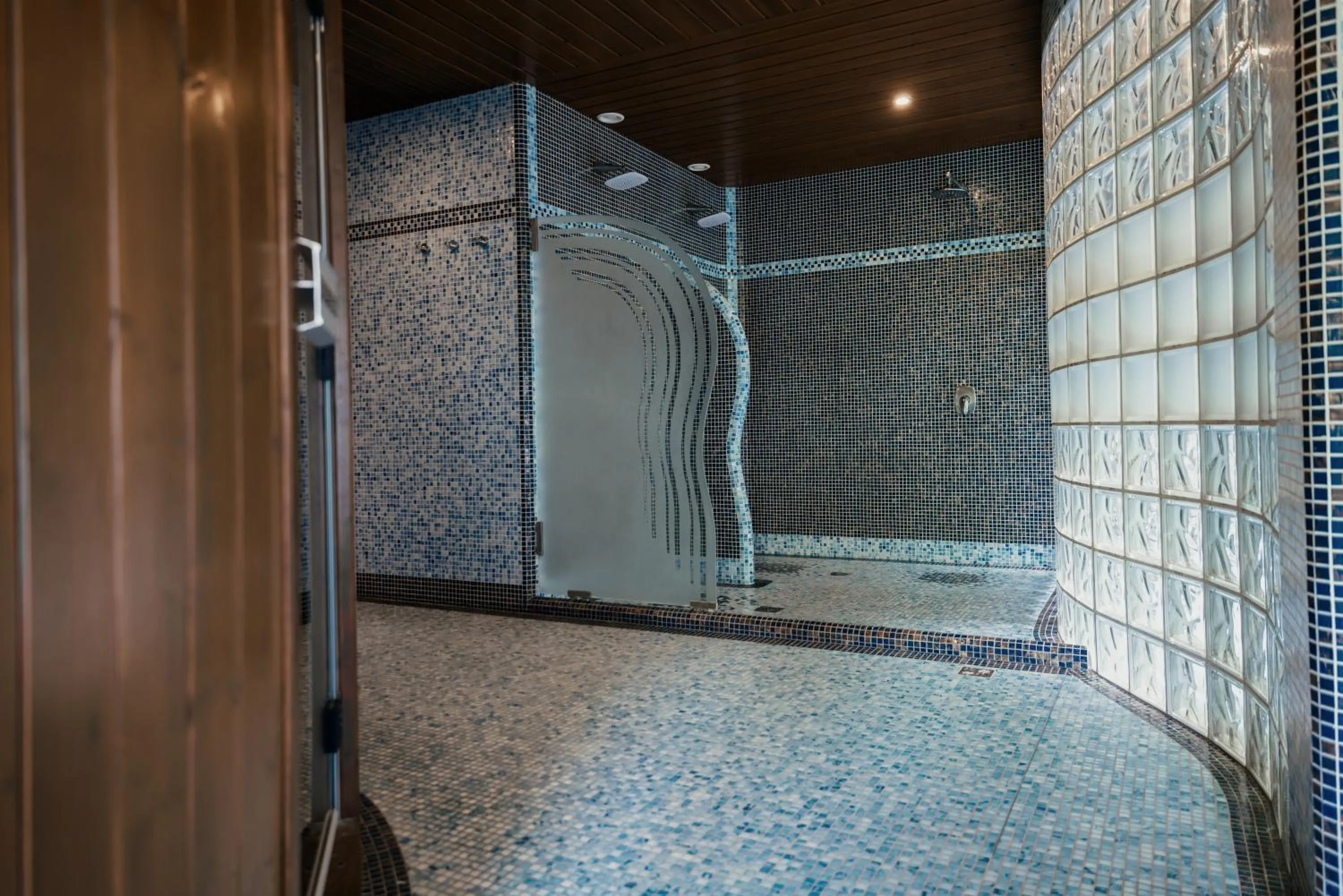 Shower in Hotel Troyer